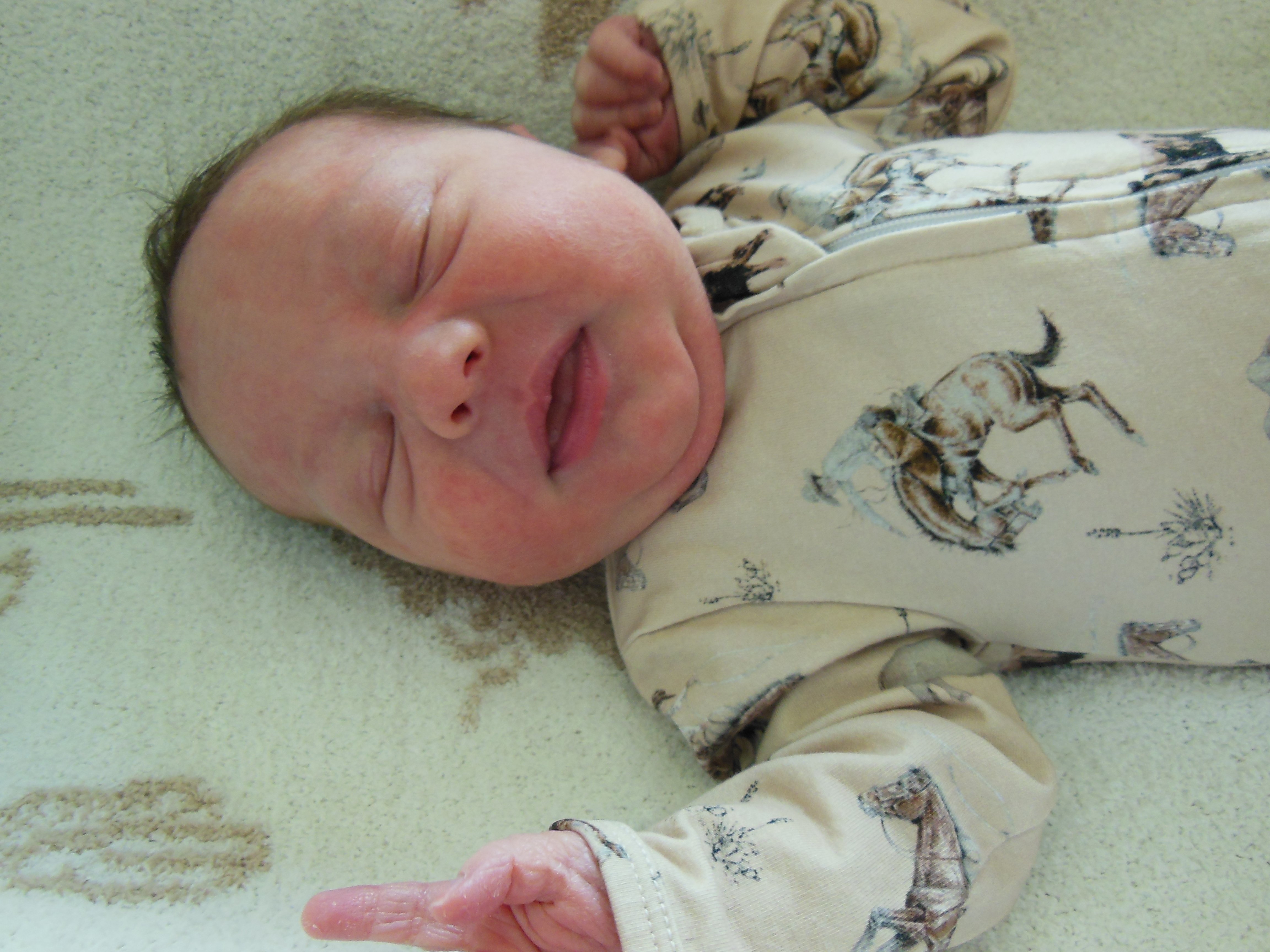 Wyatt Lane