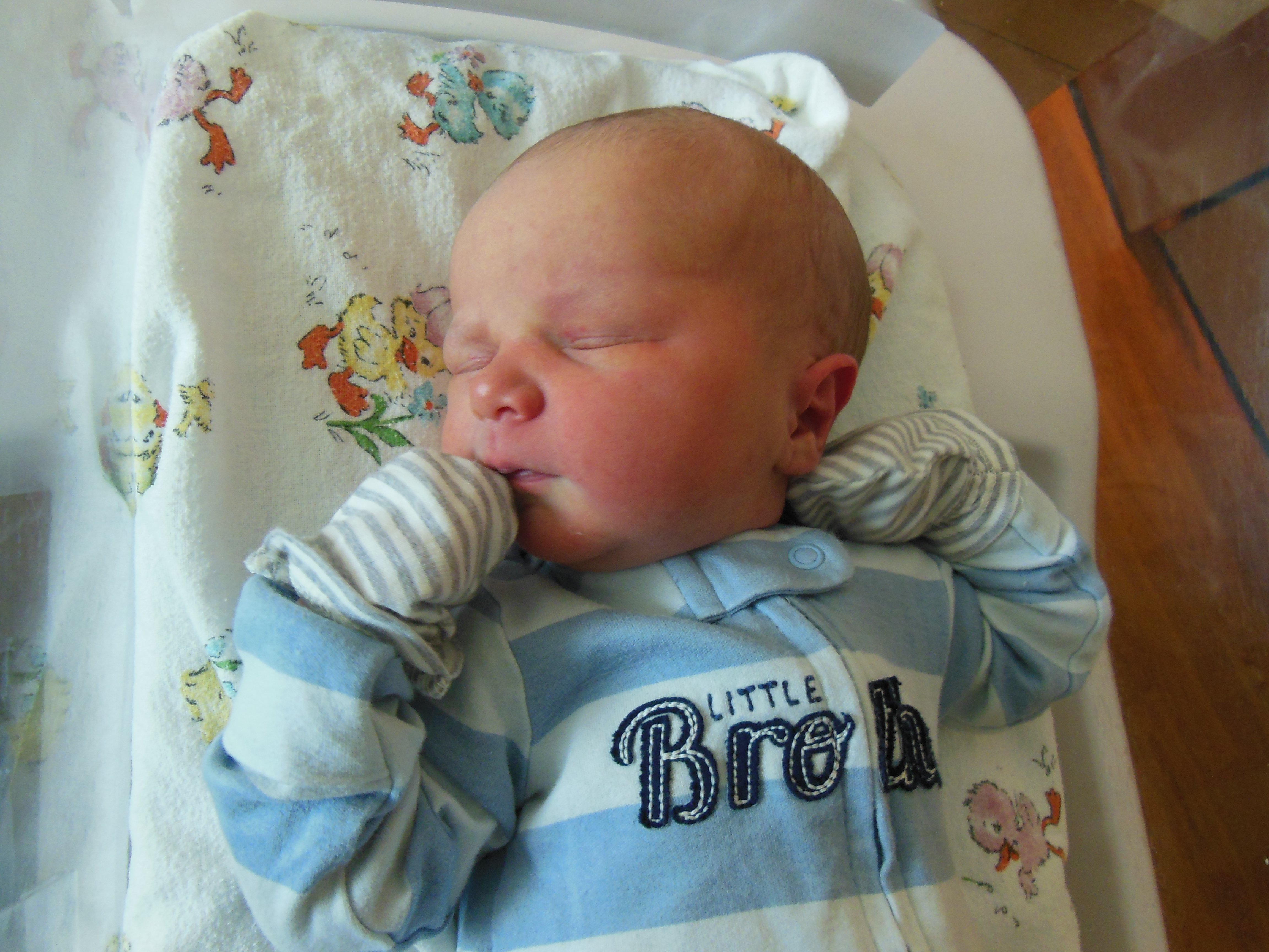 Waylon Fritz