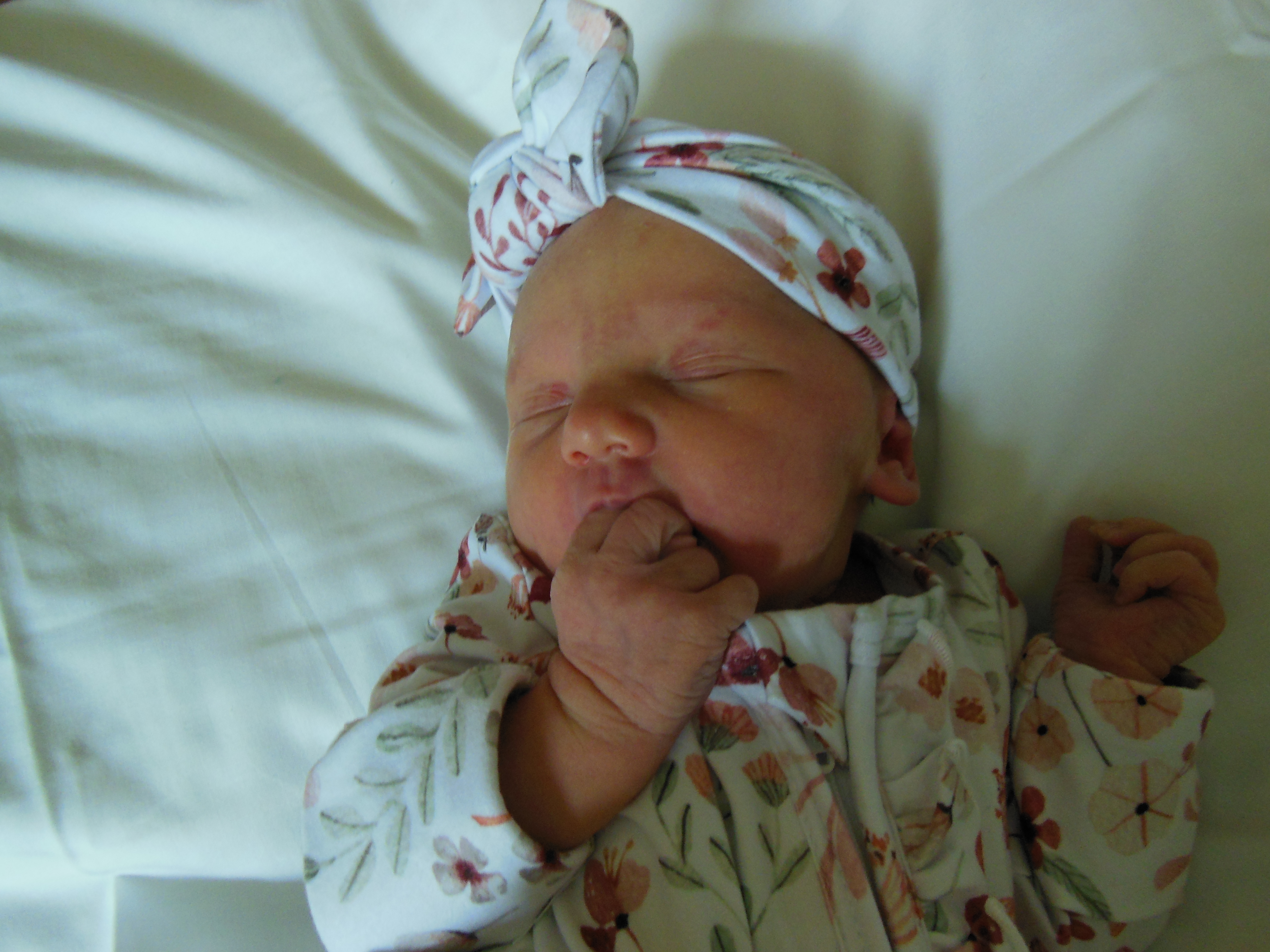 Eleanor Rae