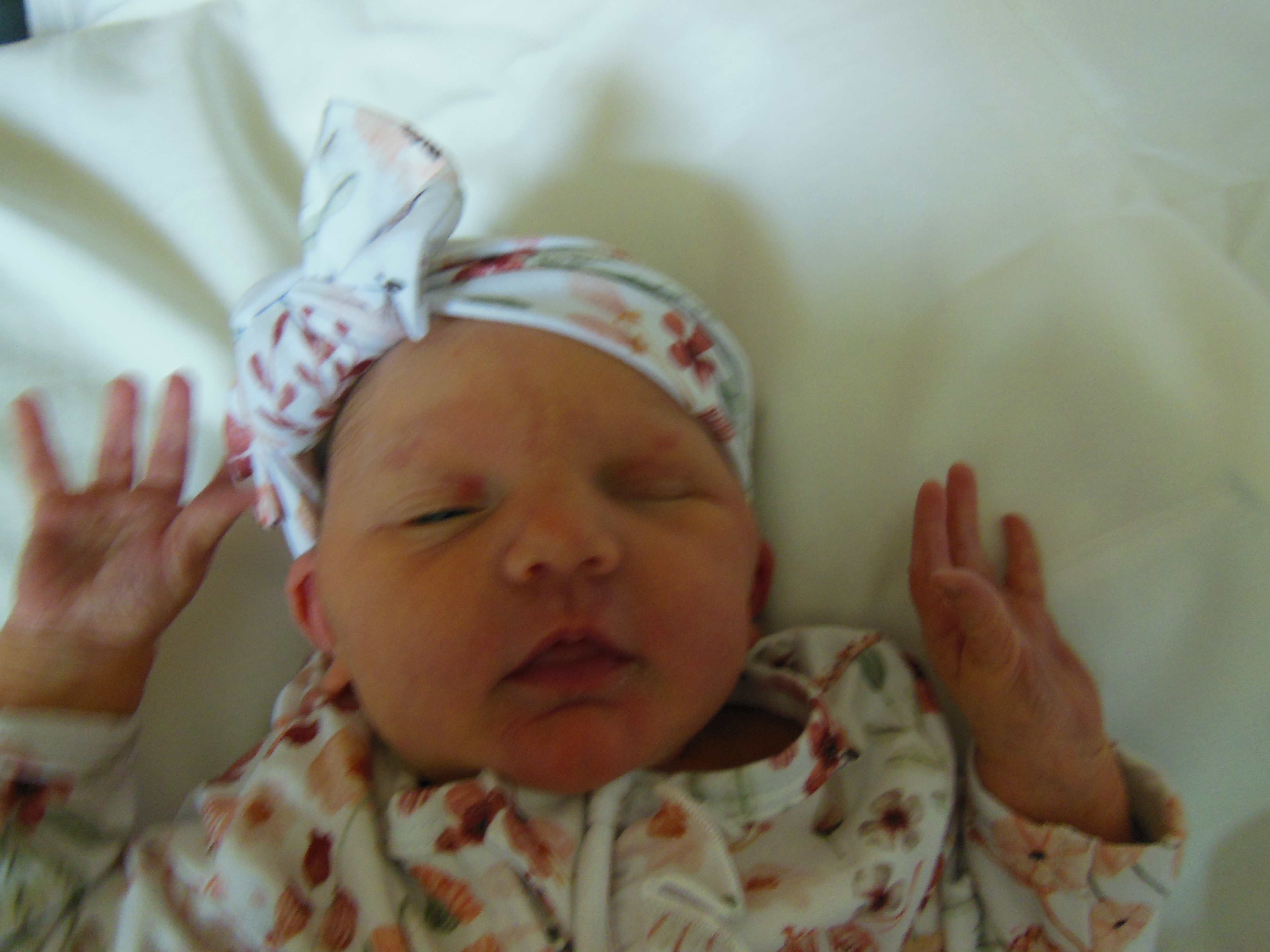 Eleanor Rae
