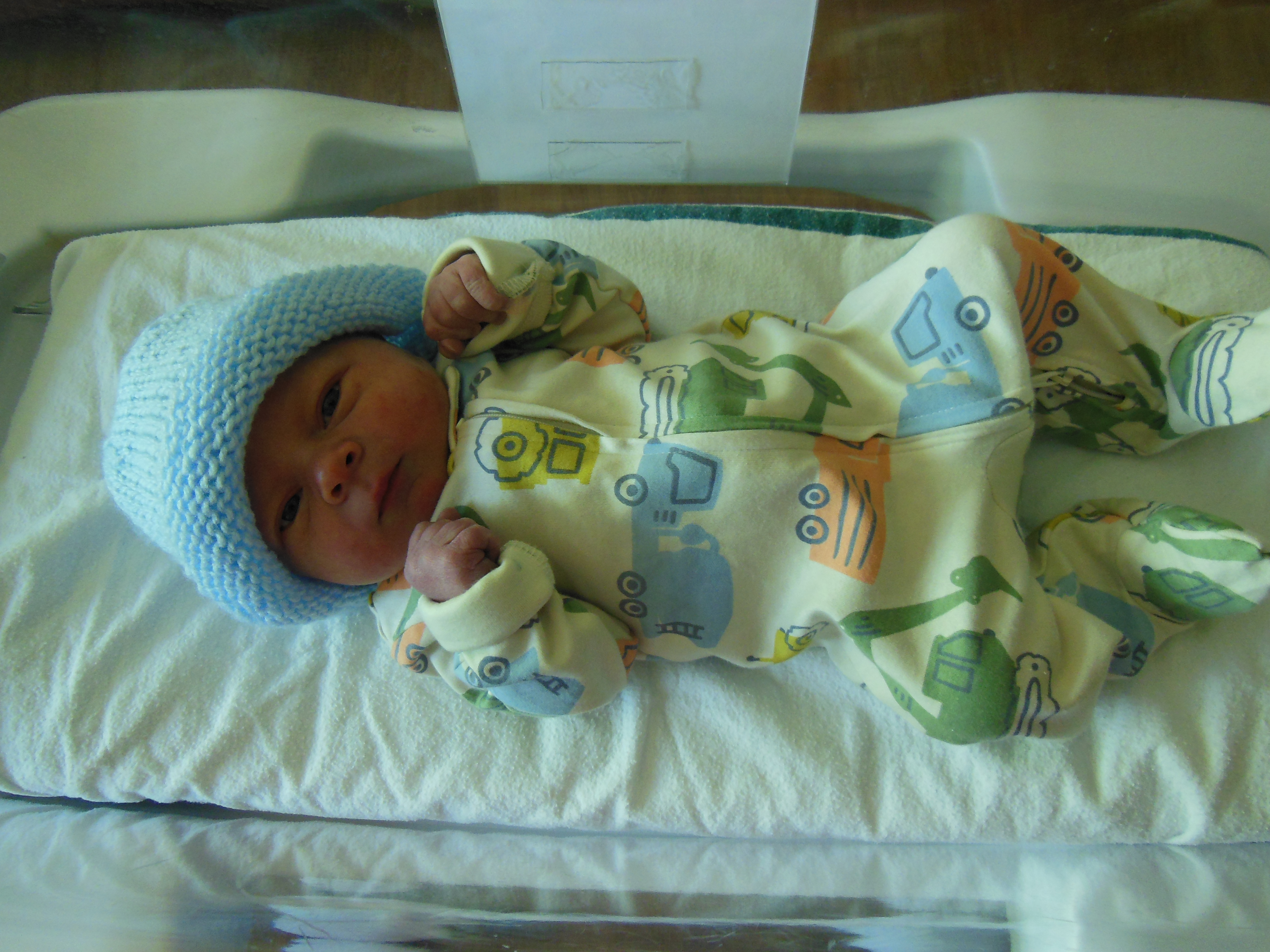 Hayden Emmett