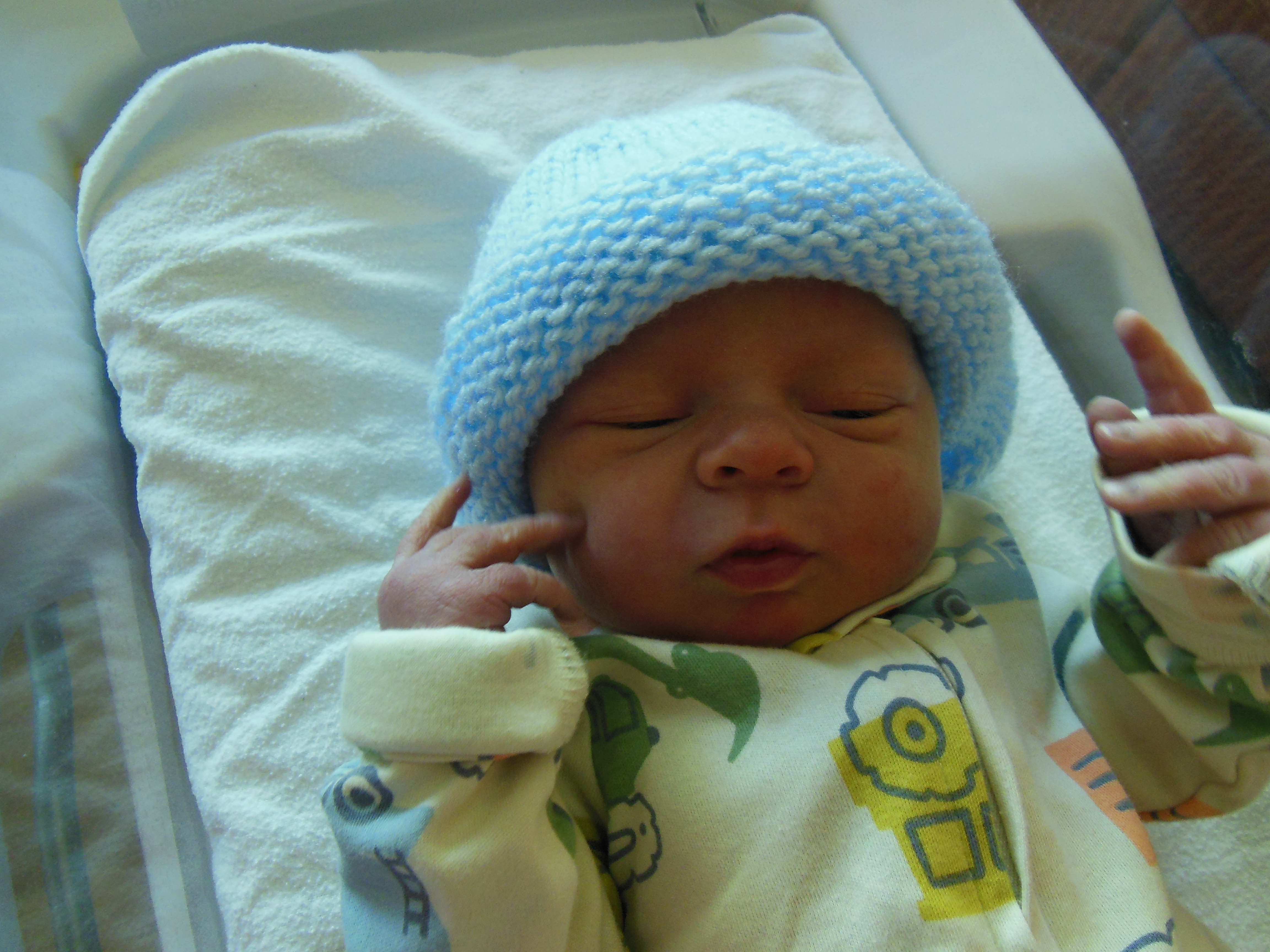 Hayden Emmett