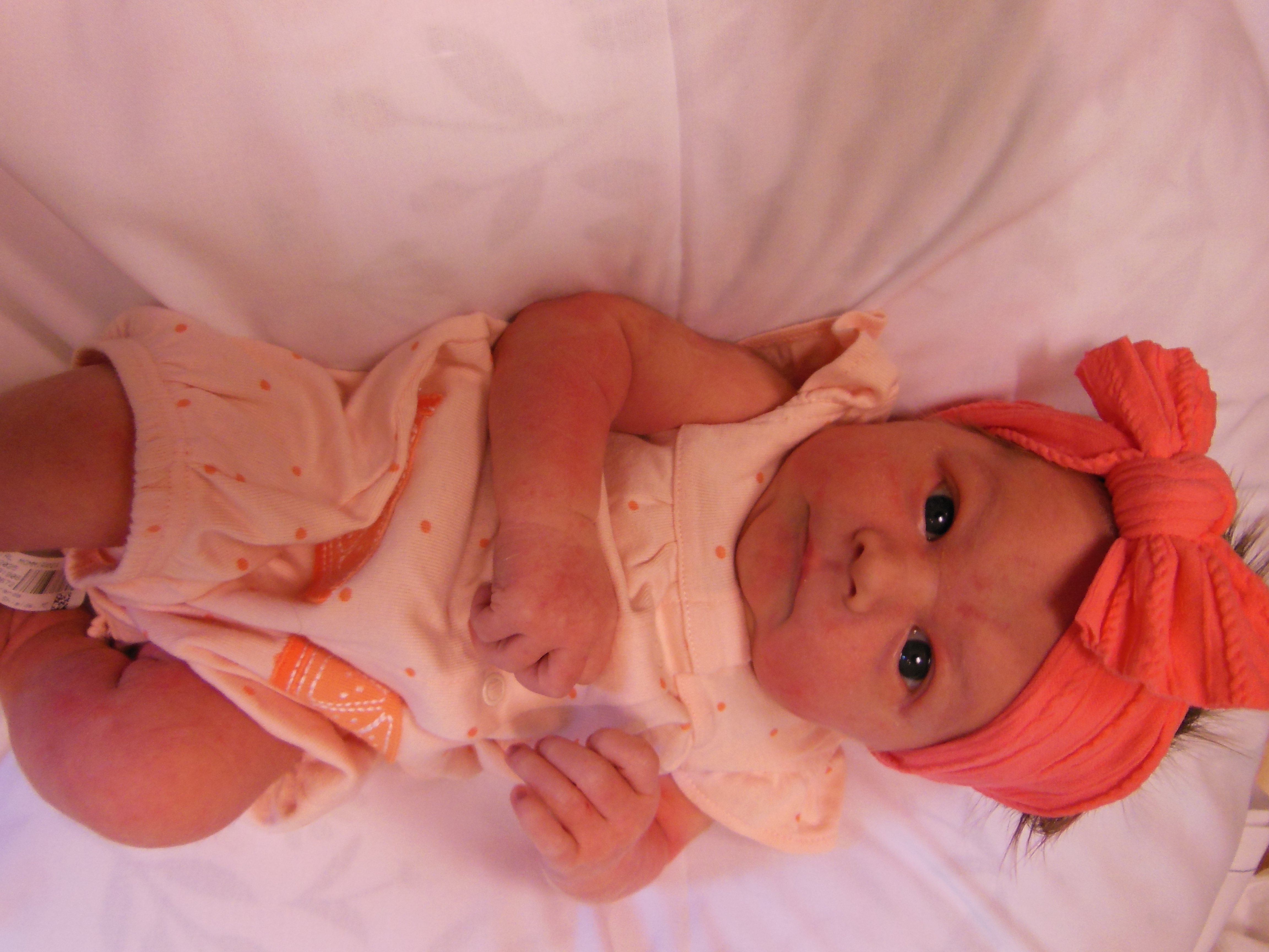 Elliott Mae