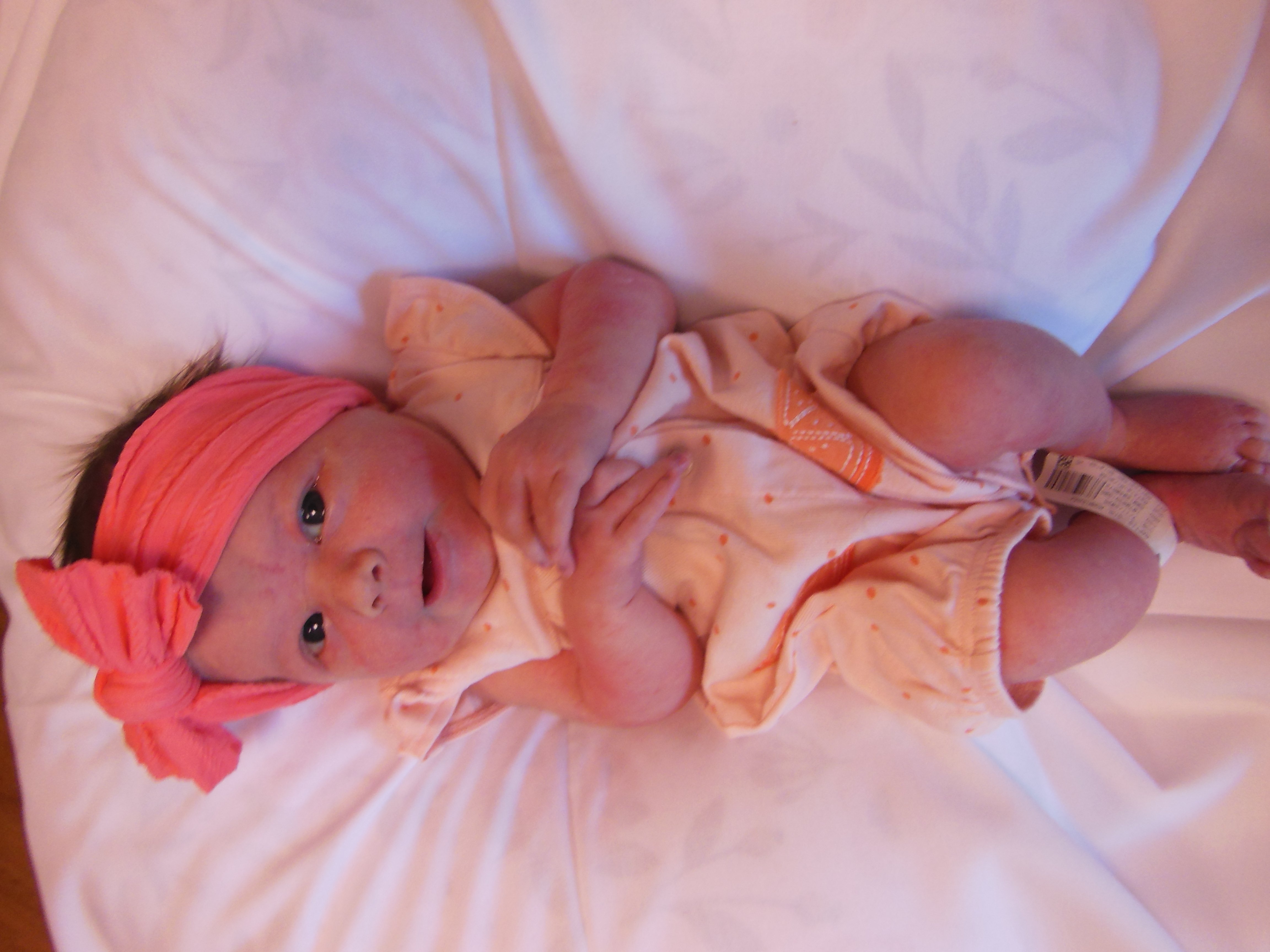 Elliott Mae