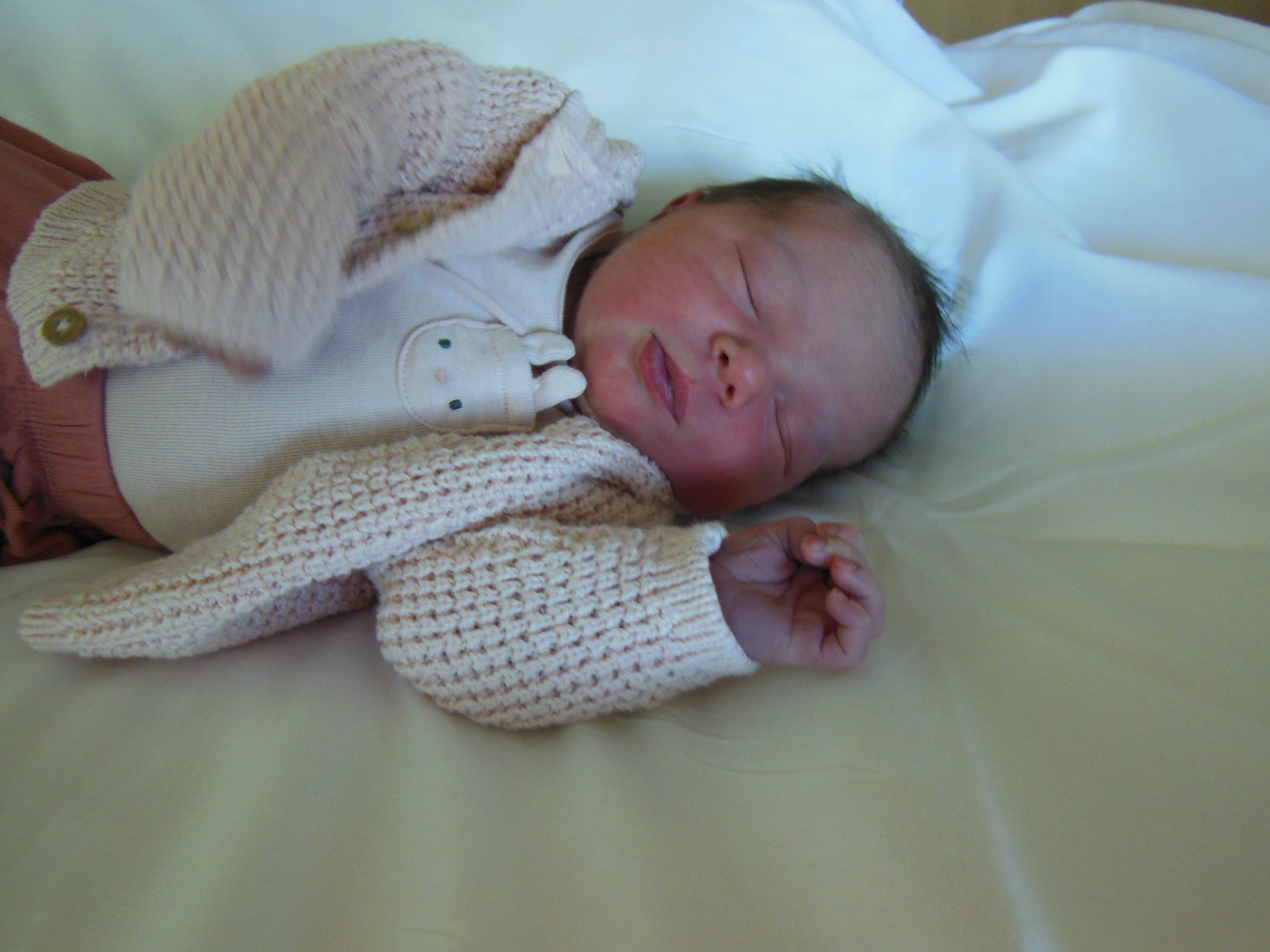 Eleanor Luve