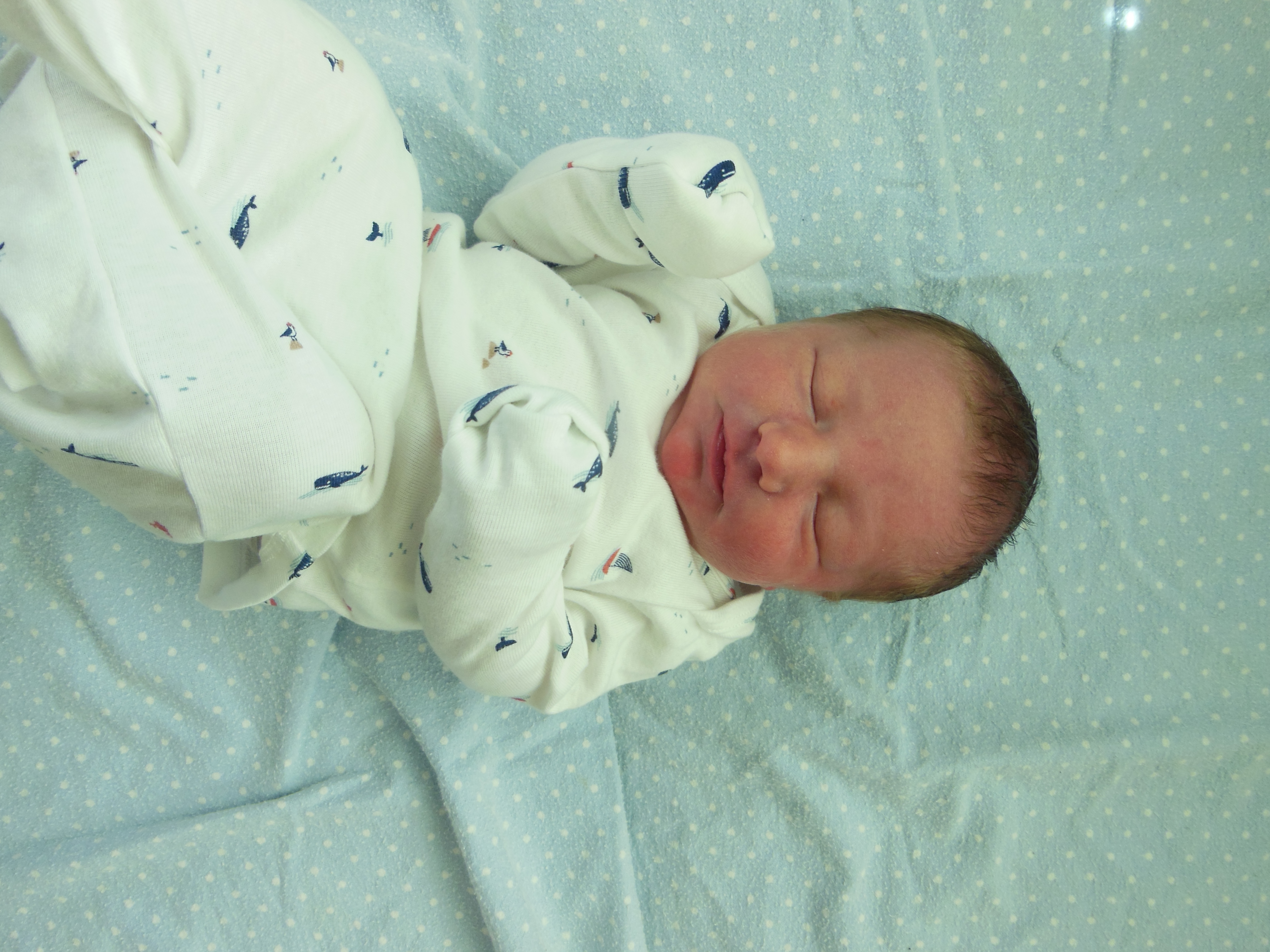 Allen Michael