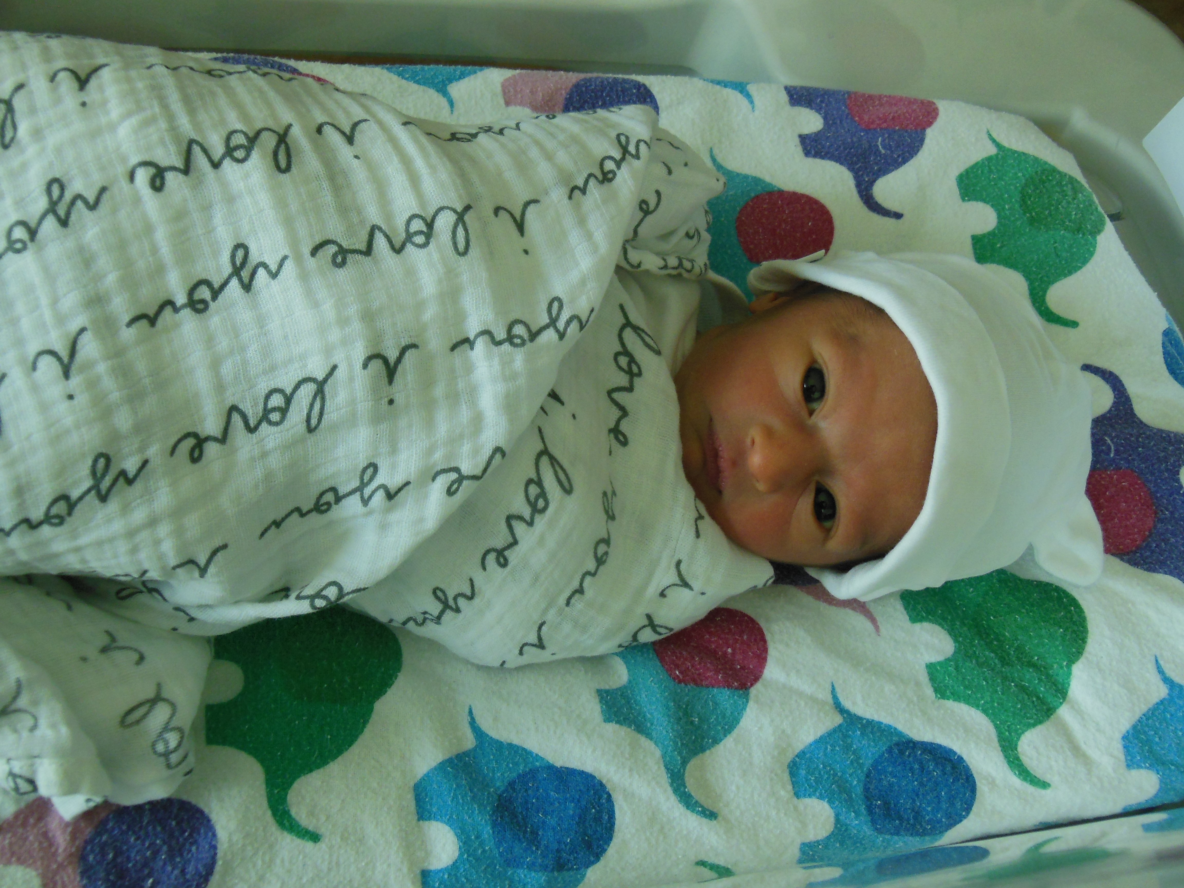 Avik Raj