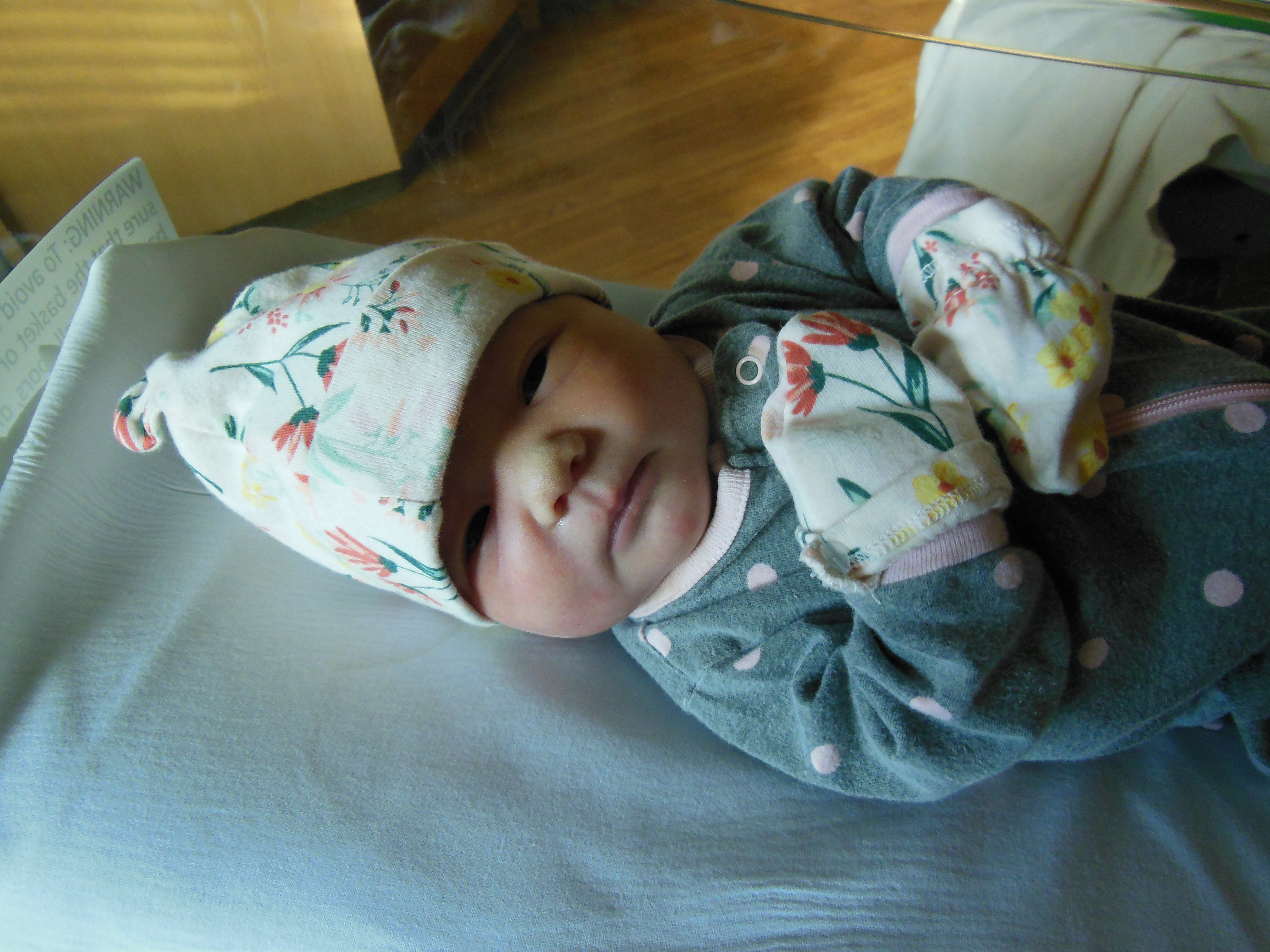 Persephone Faye Rose