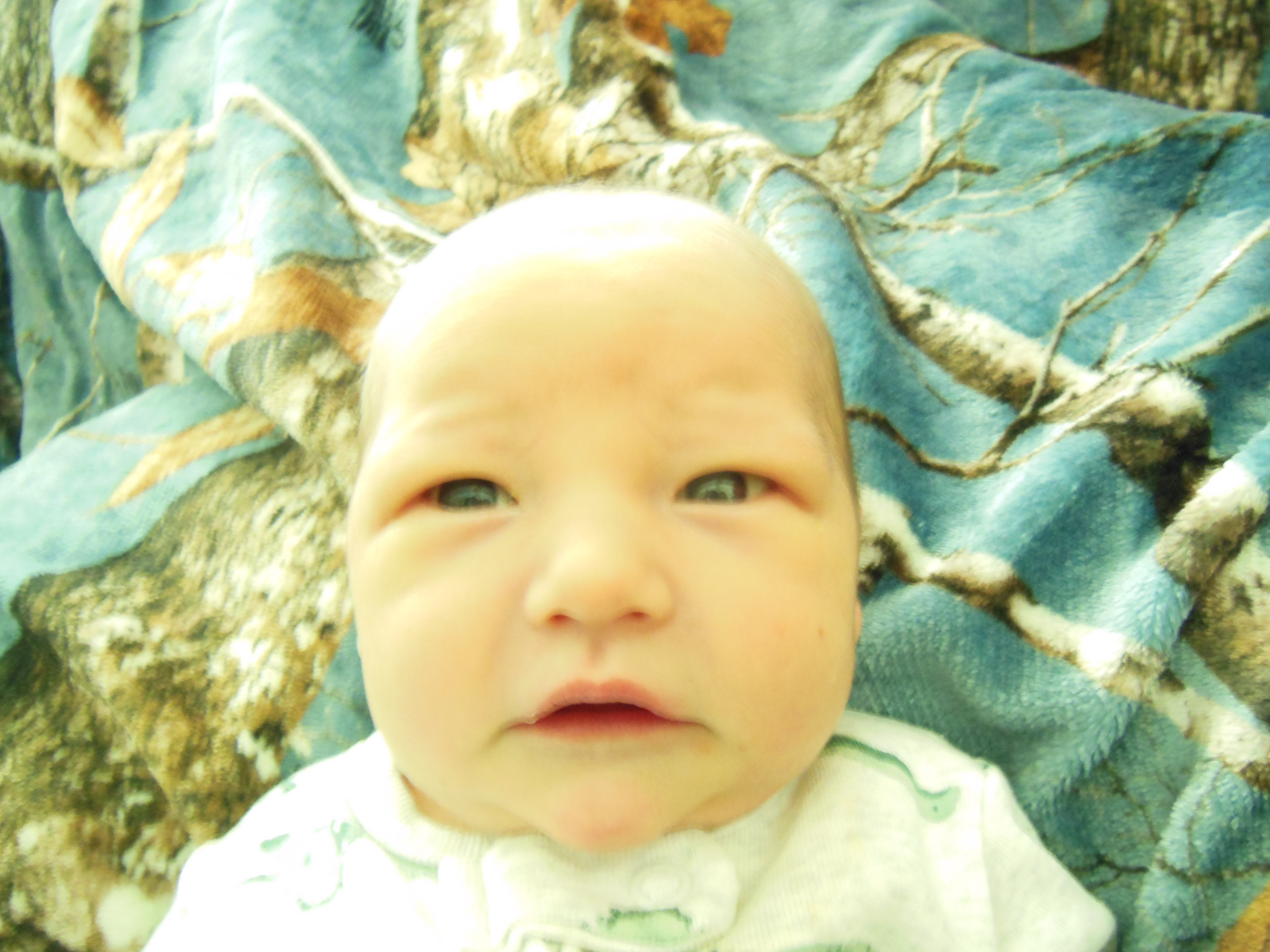 Carter Lee