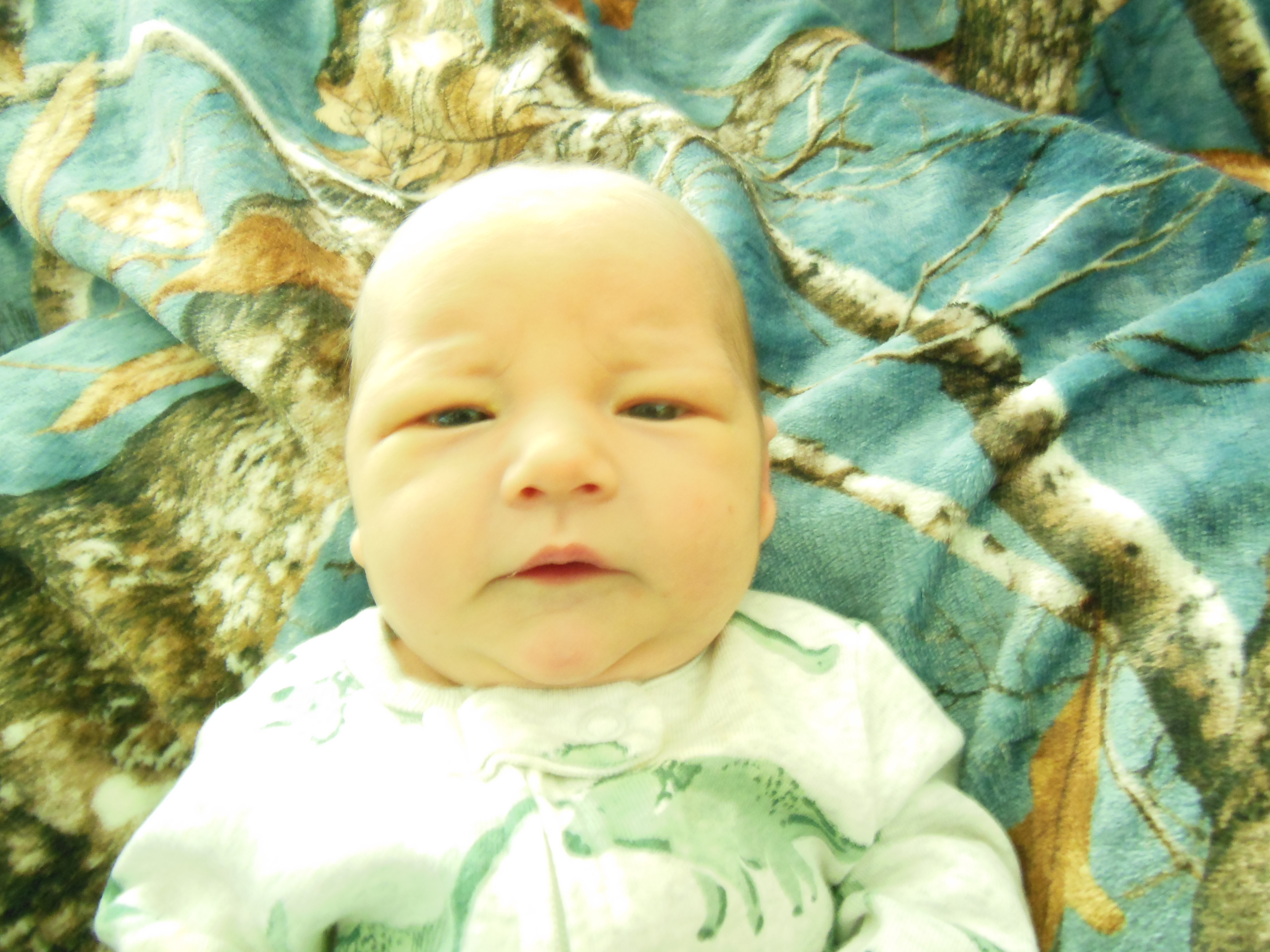 Carter Lee