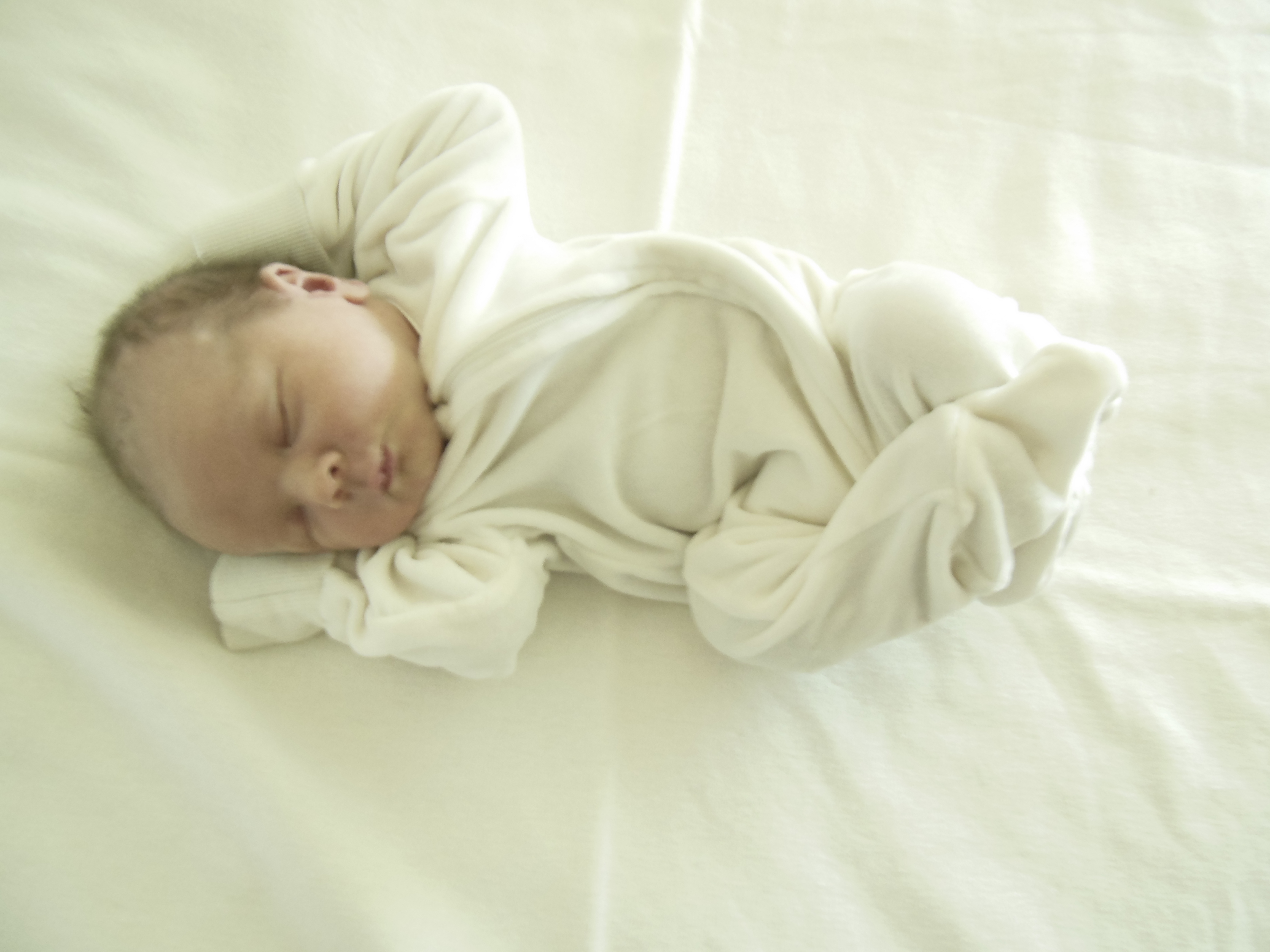 Henley Lilla
