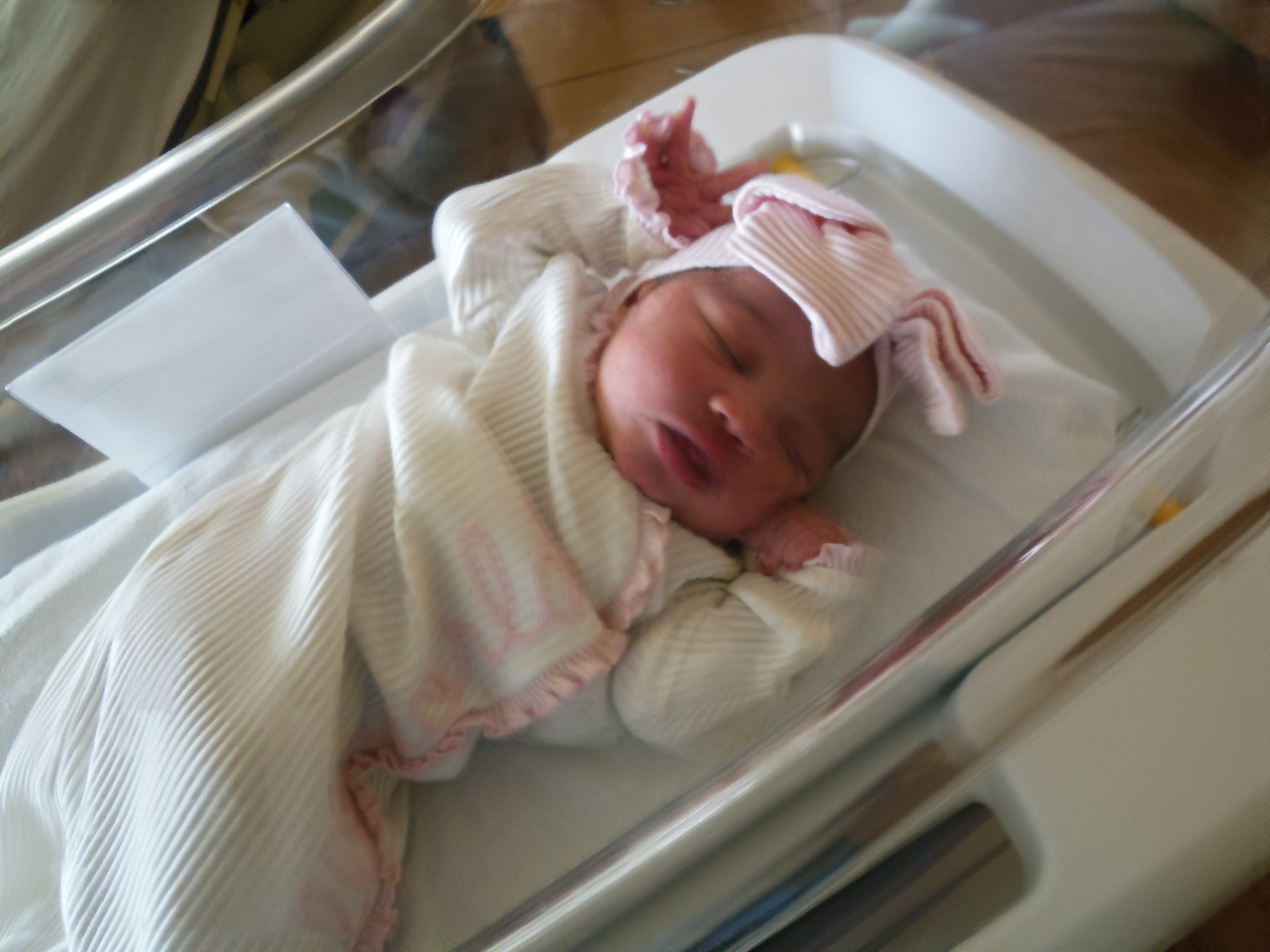 Freya Rachelle