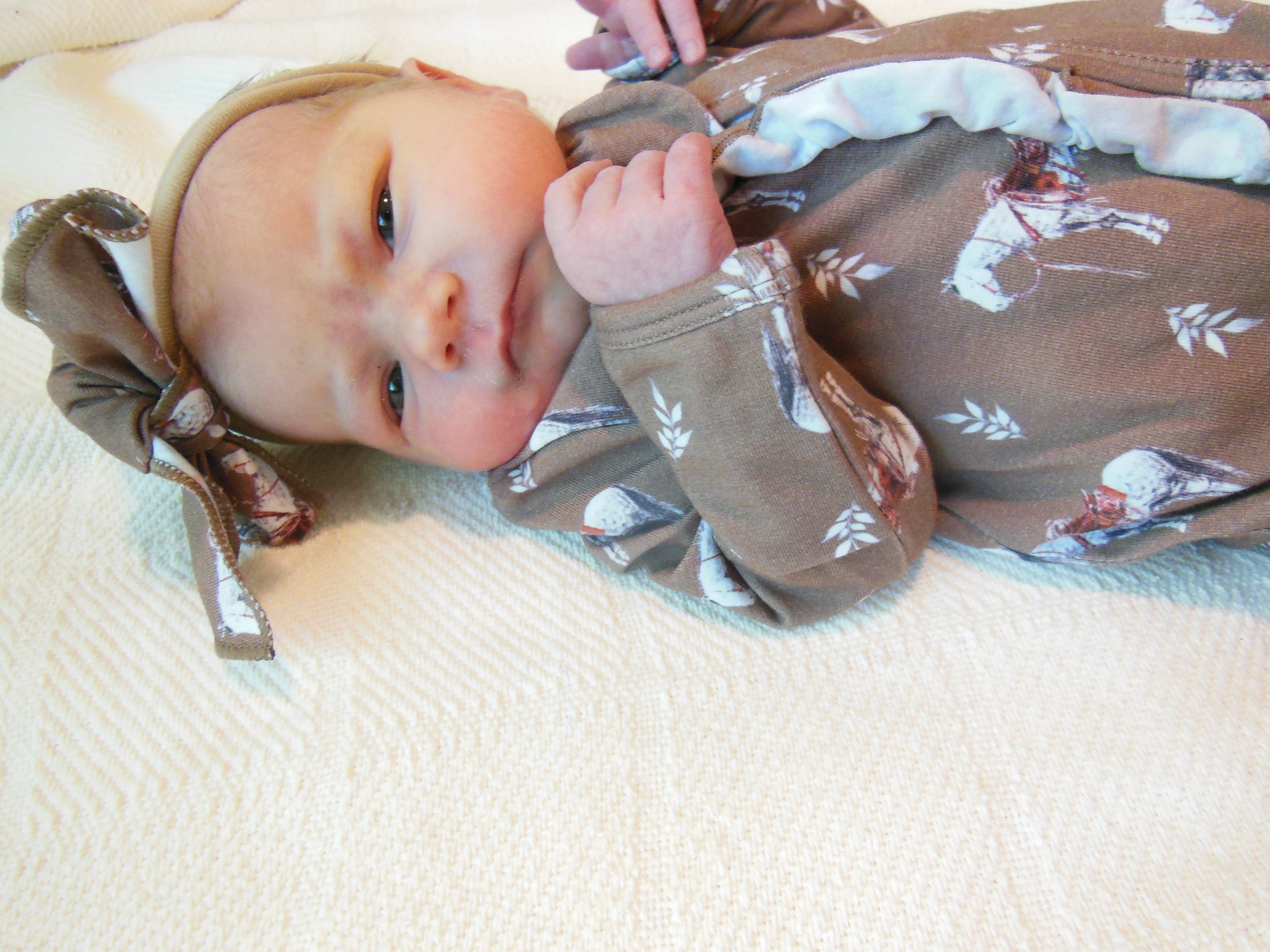 Loretta Ann 