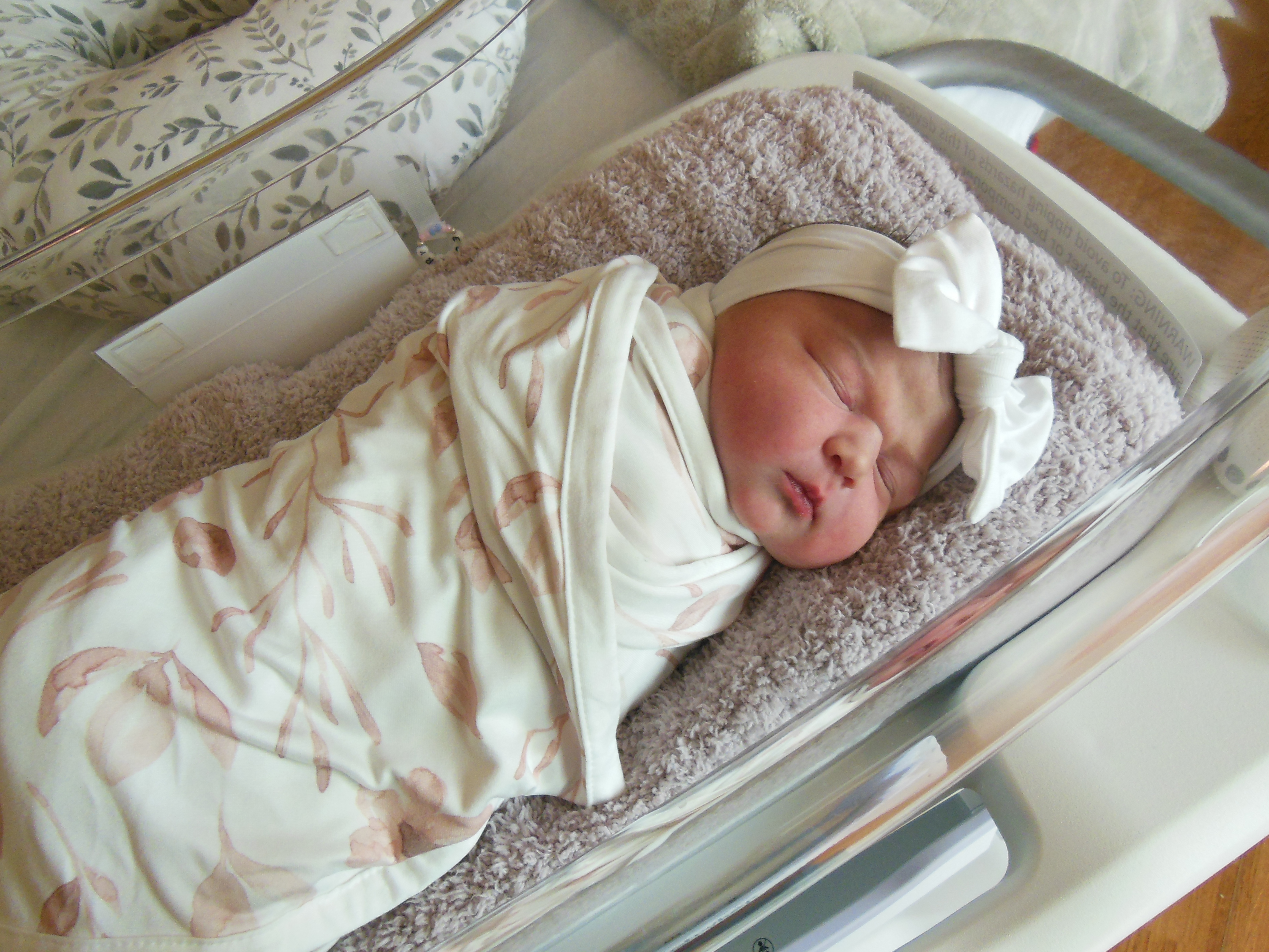 Ellery Dianne