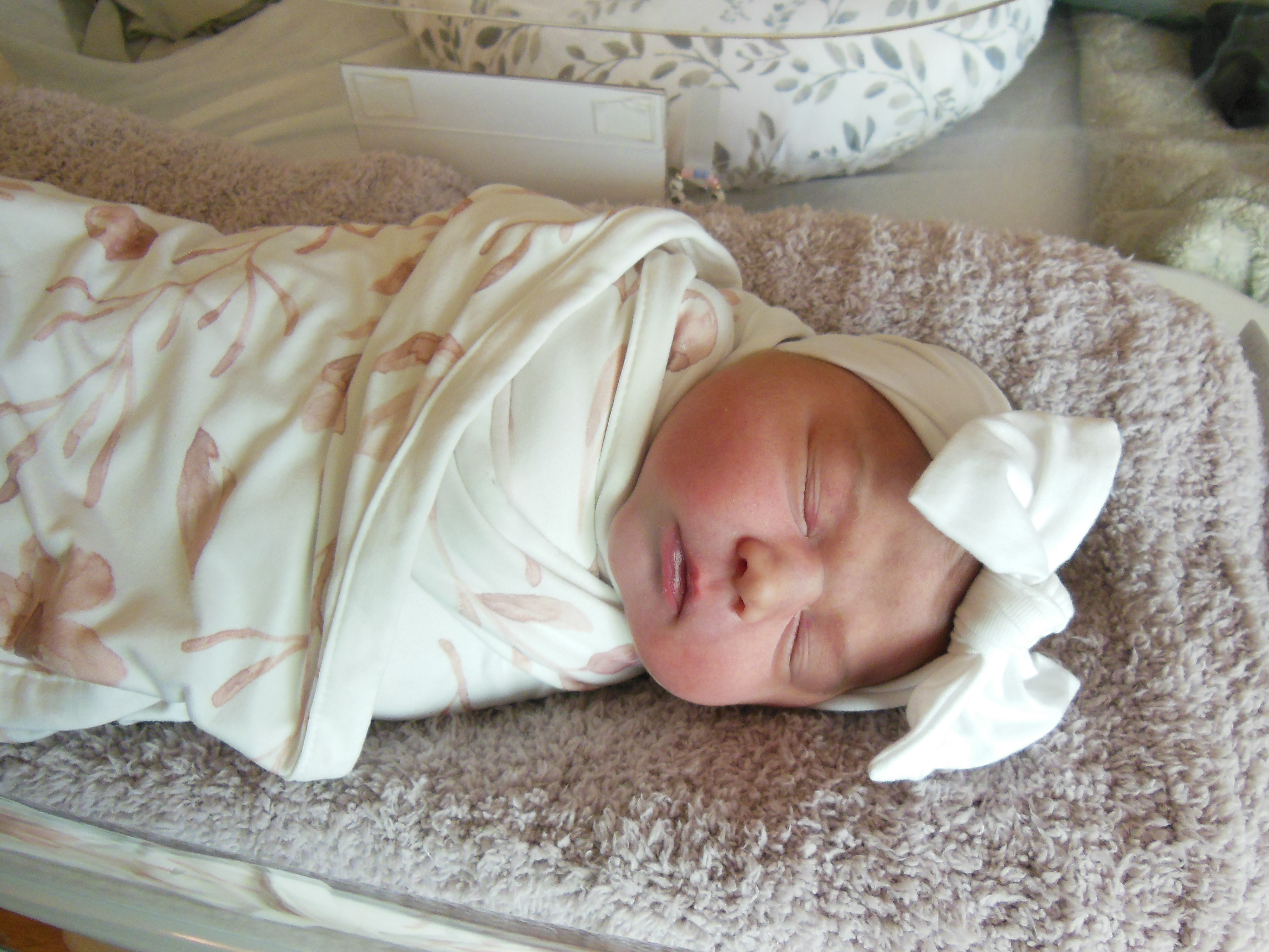 Ellery Dianne