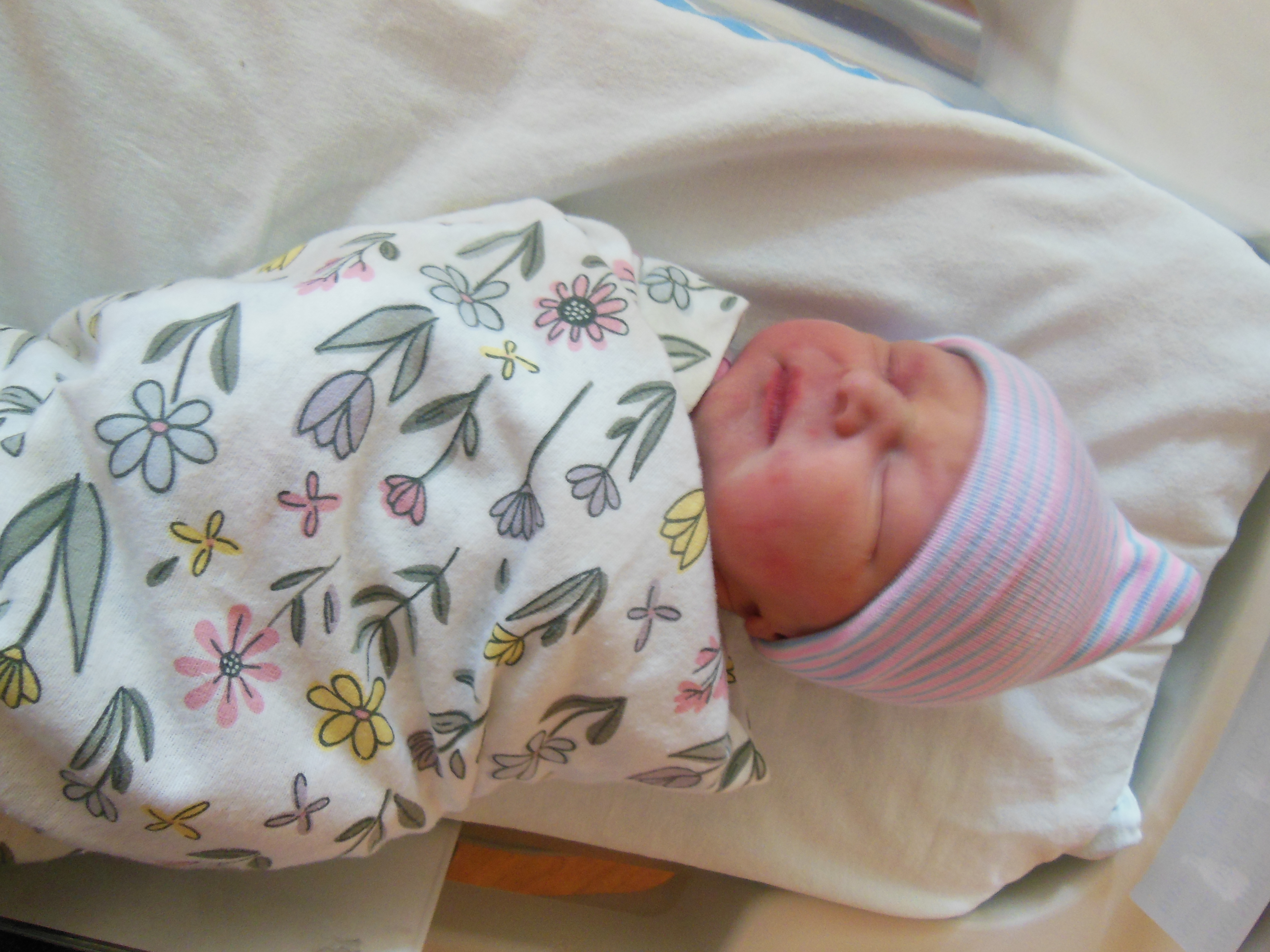 Ashlyn Willow 
