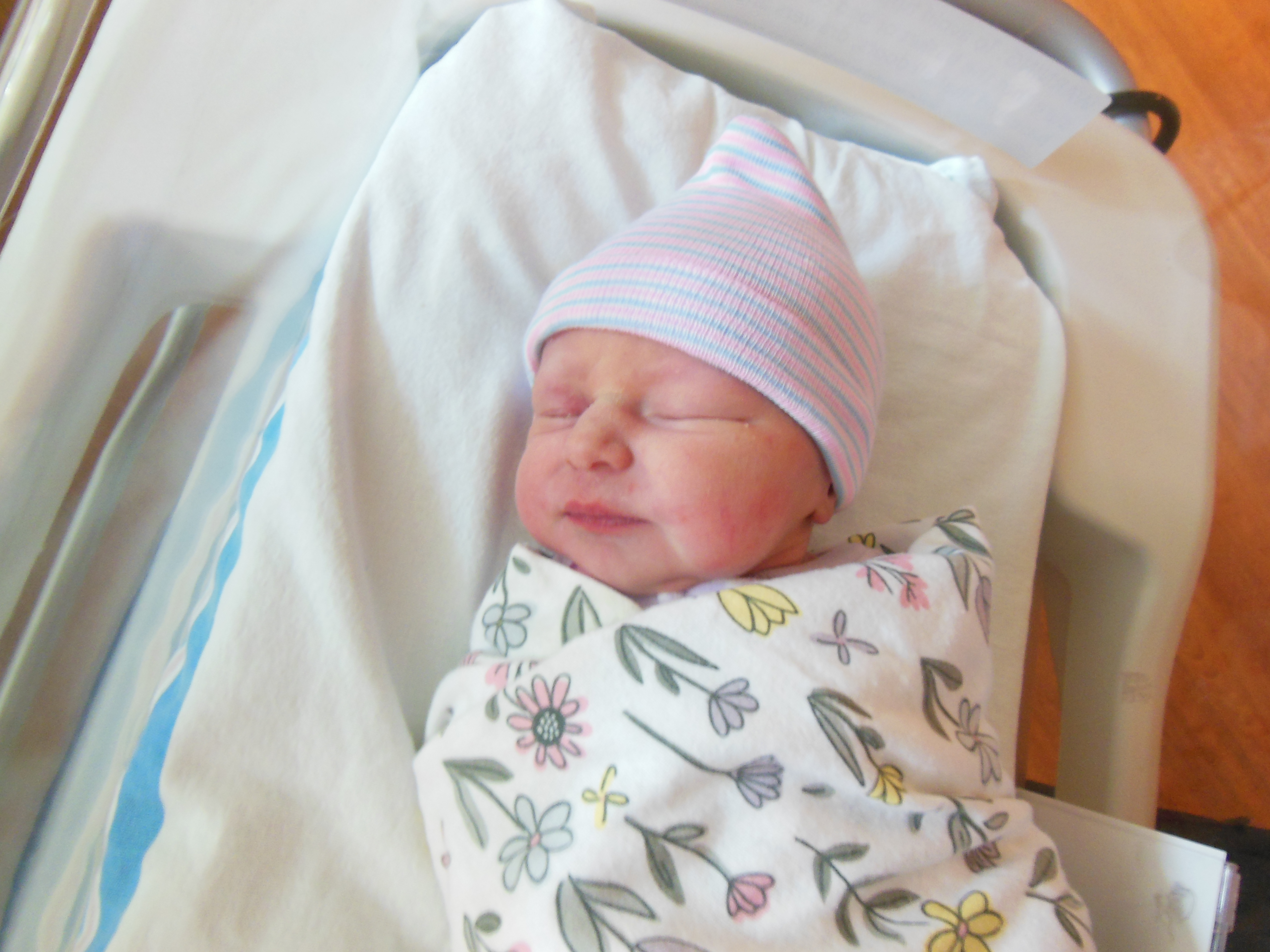 Ashlyn Willow 