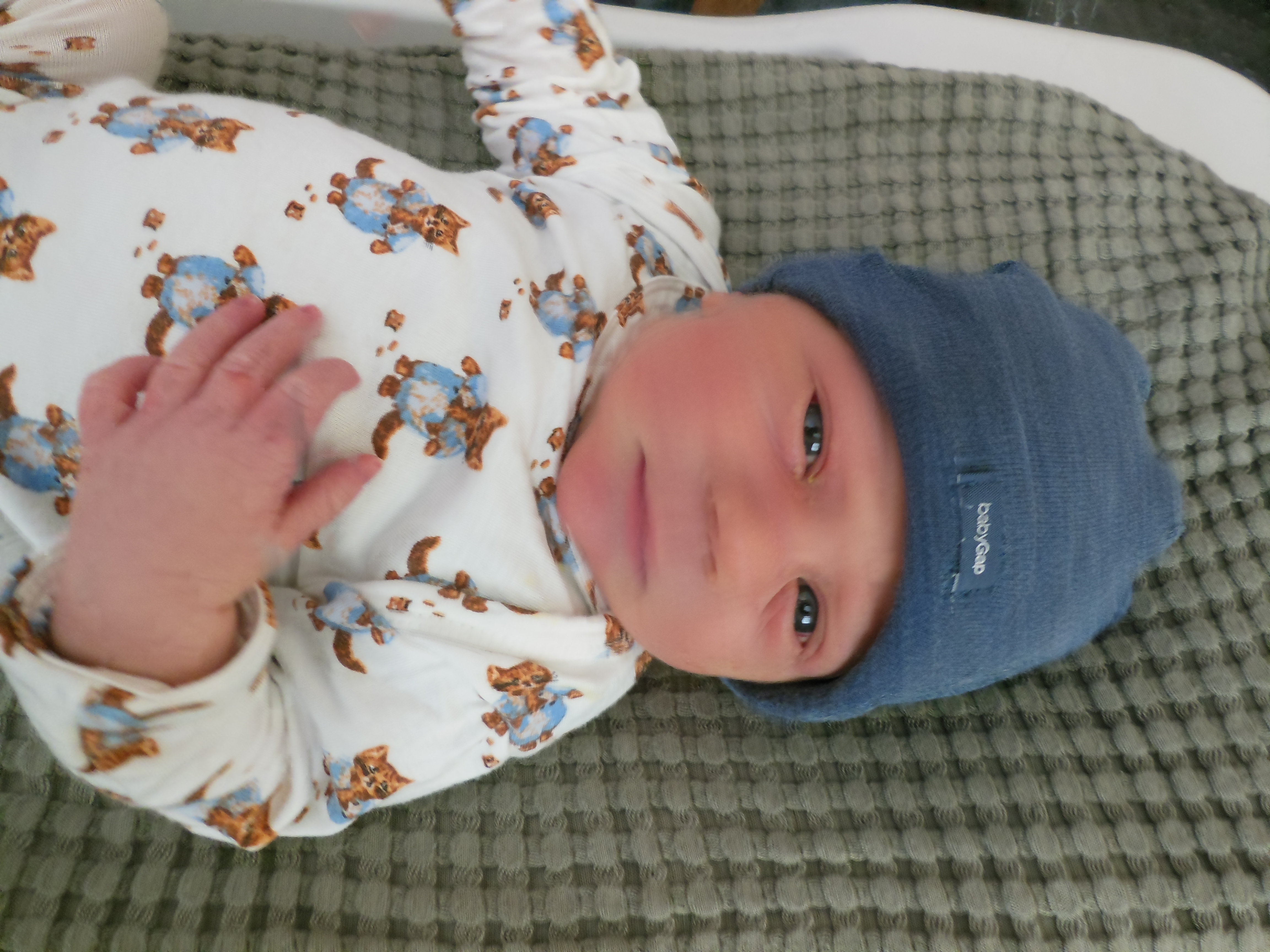 Adonis James