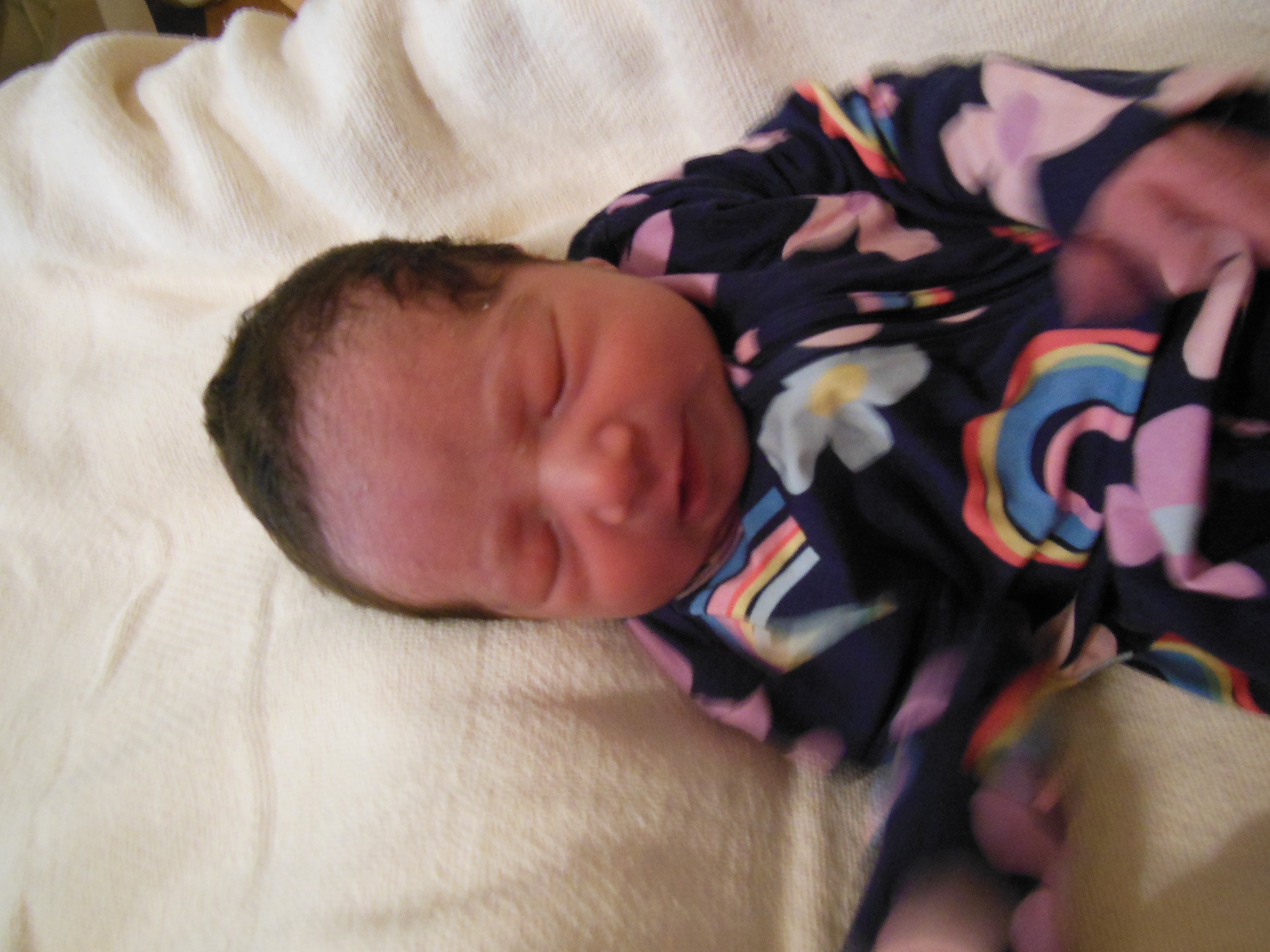 Liza Claire