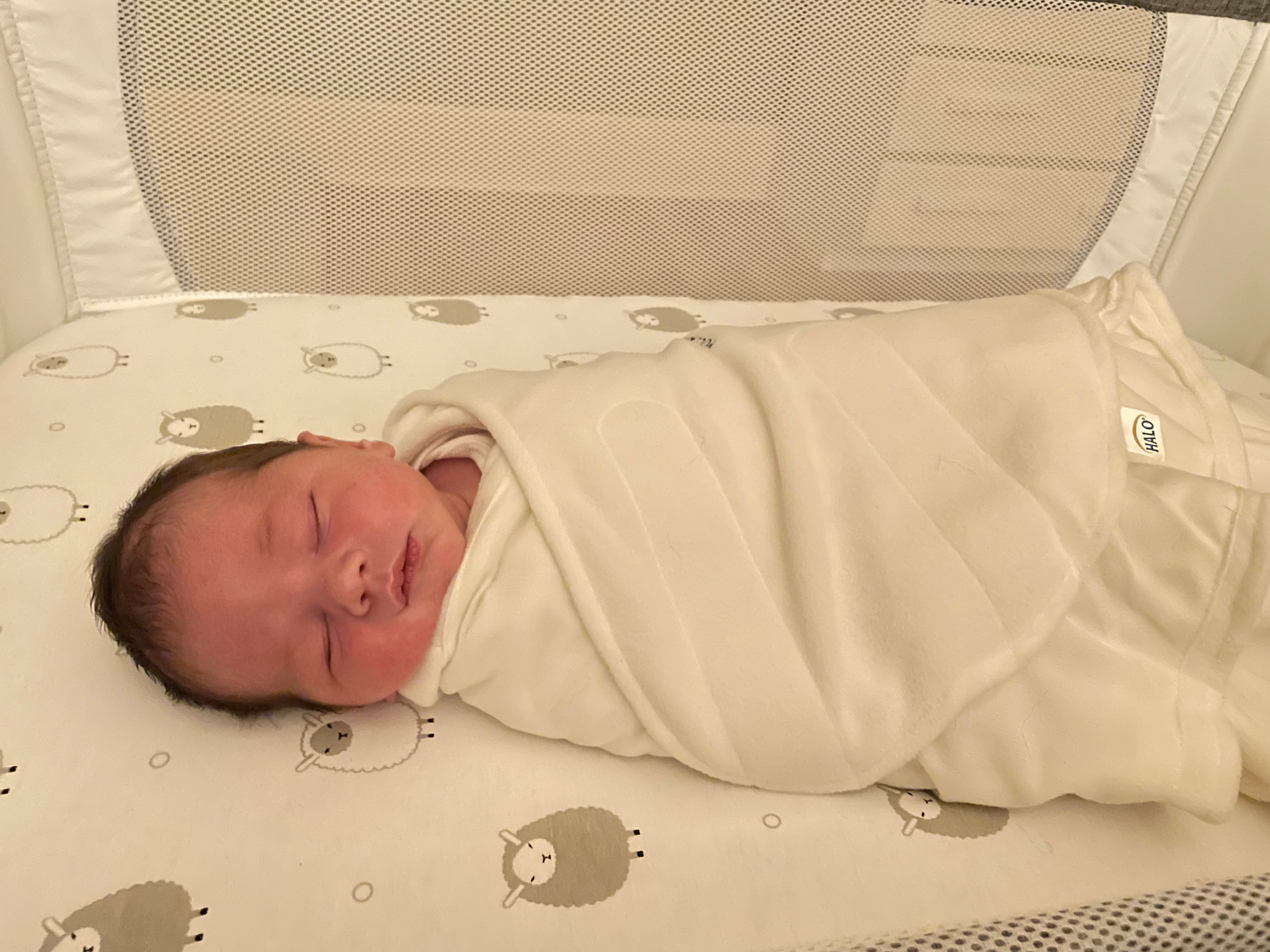 Greyson Lorenzo 
