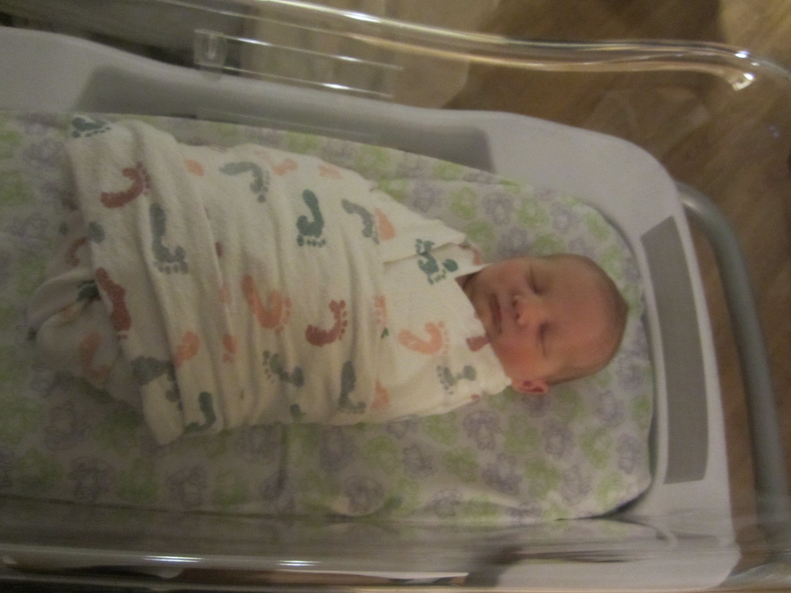 Mariah Pauline