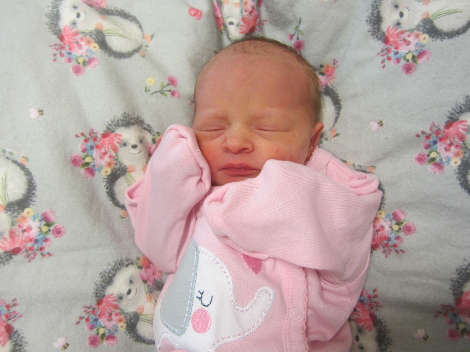 Finnlee Frances
