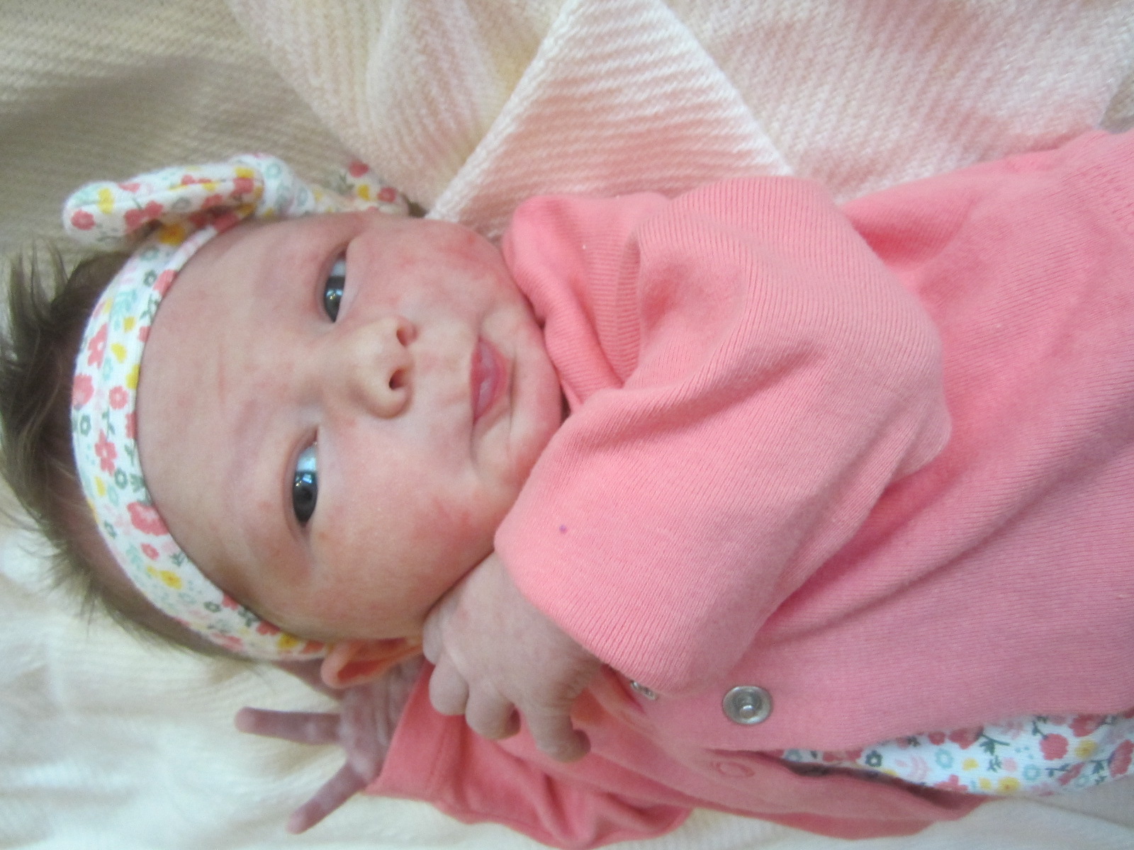 Laura Elizabeth Joy
