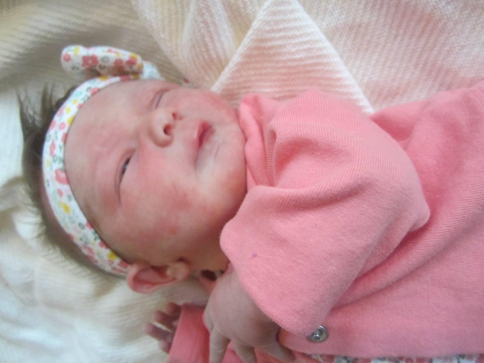 Laura Elizabeth Joy