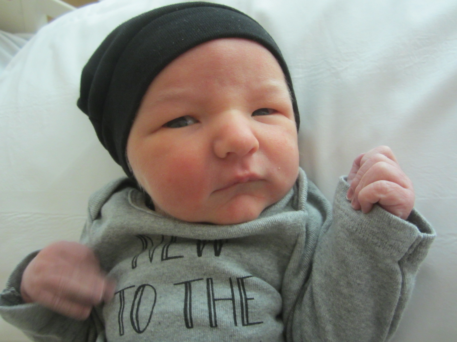 Jax William