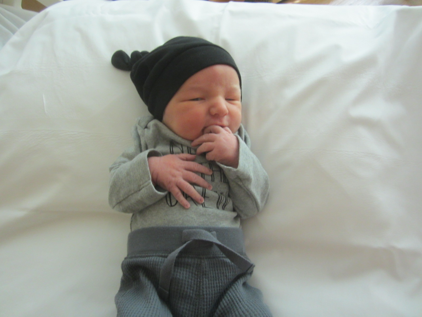 Jax William