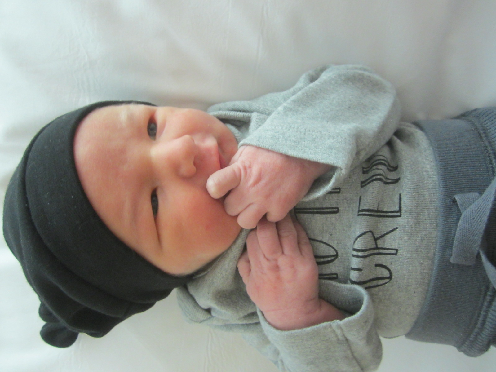 Jax William