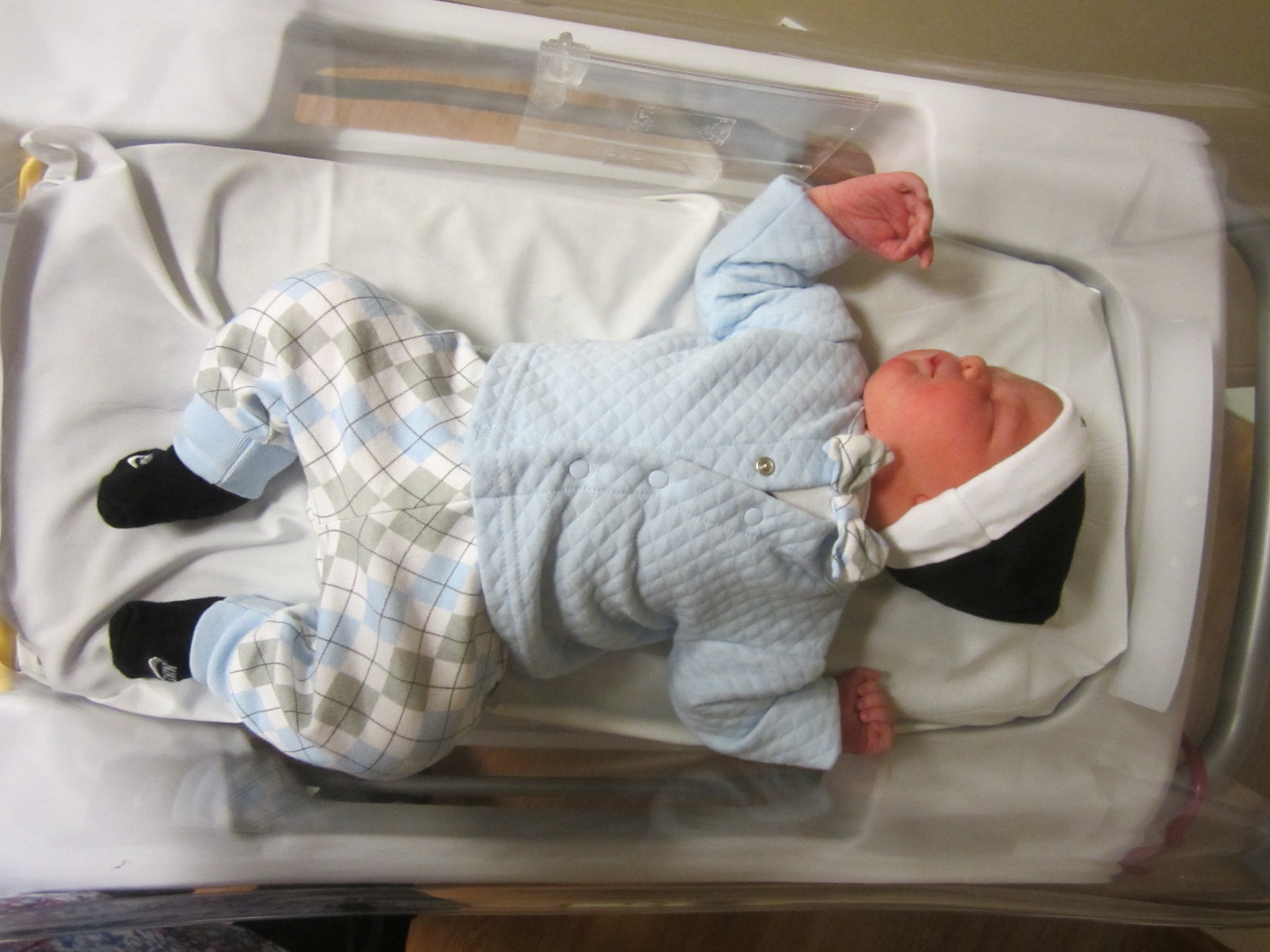 Ezra Harold