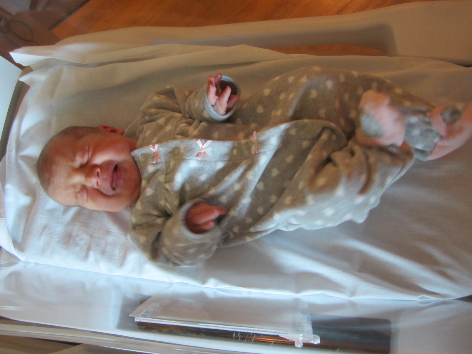 Harmony Jane