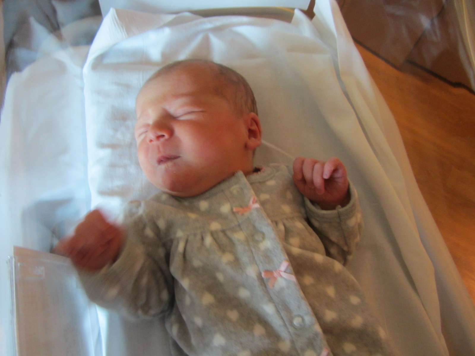 Harmony Jane