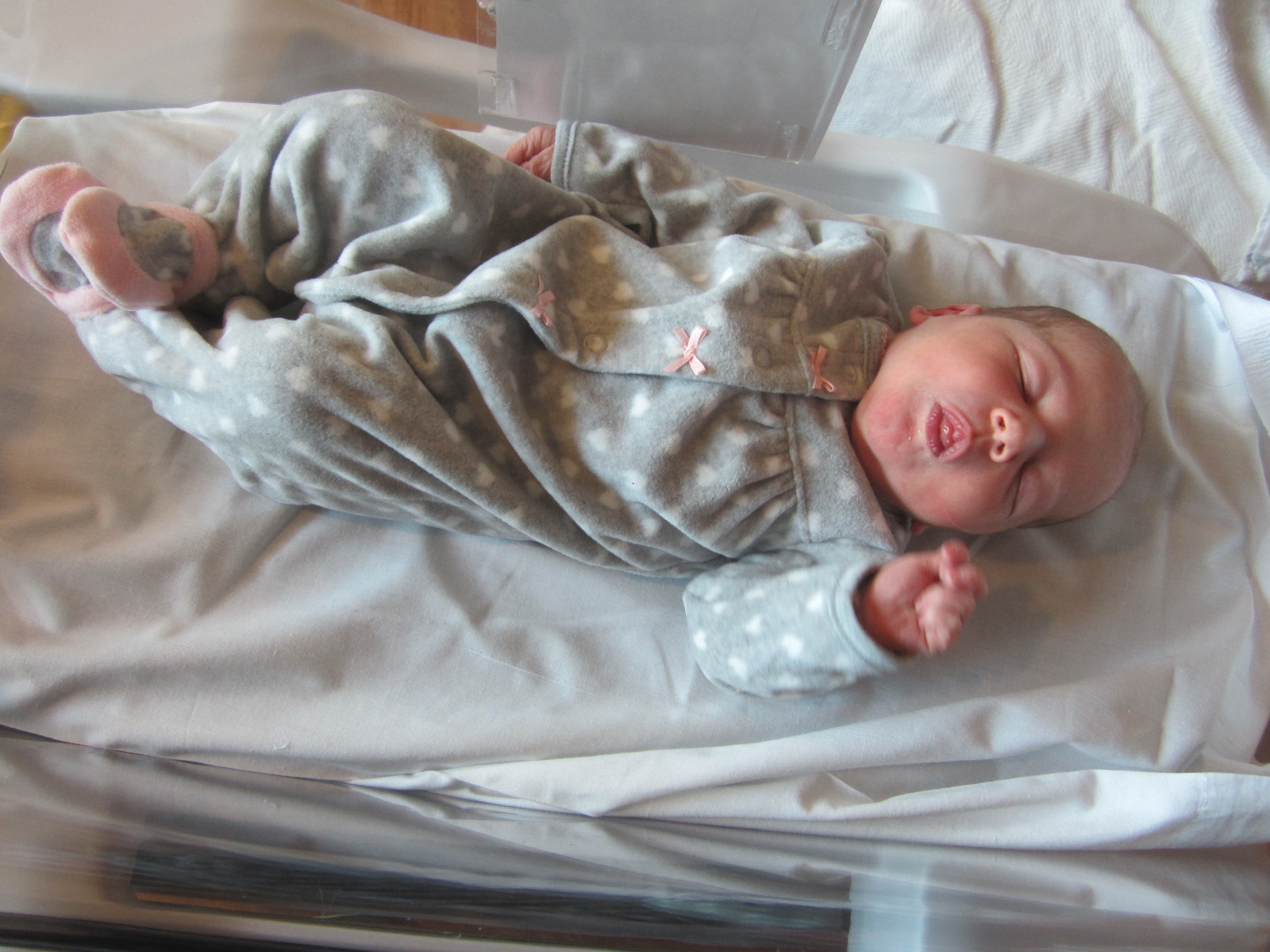 Harmony Jane
