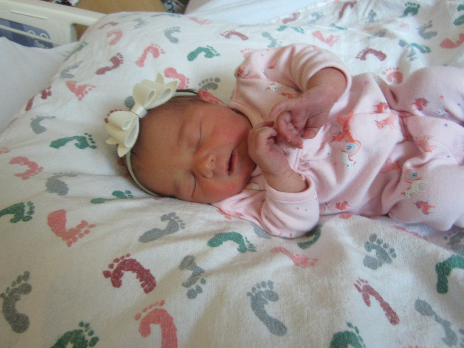 Remi Rene