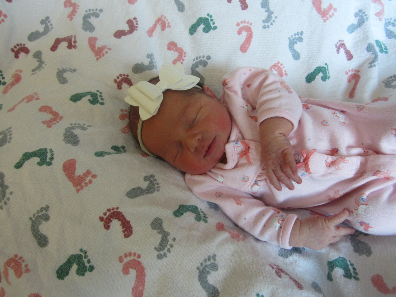 Remi Rene