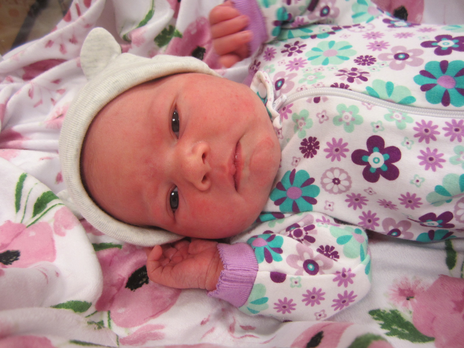 Daphne Agnes