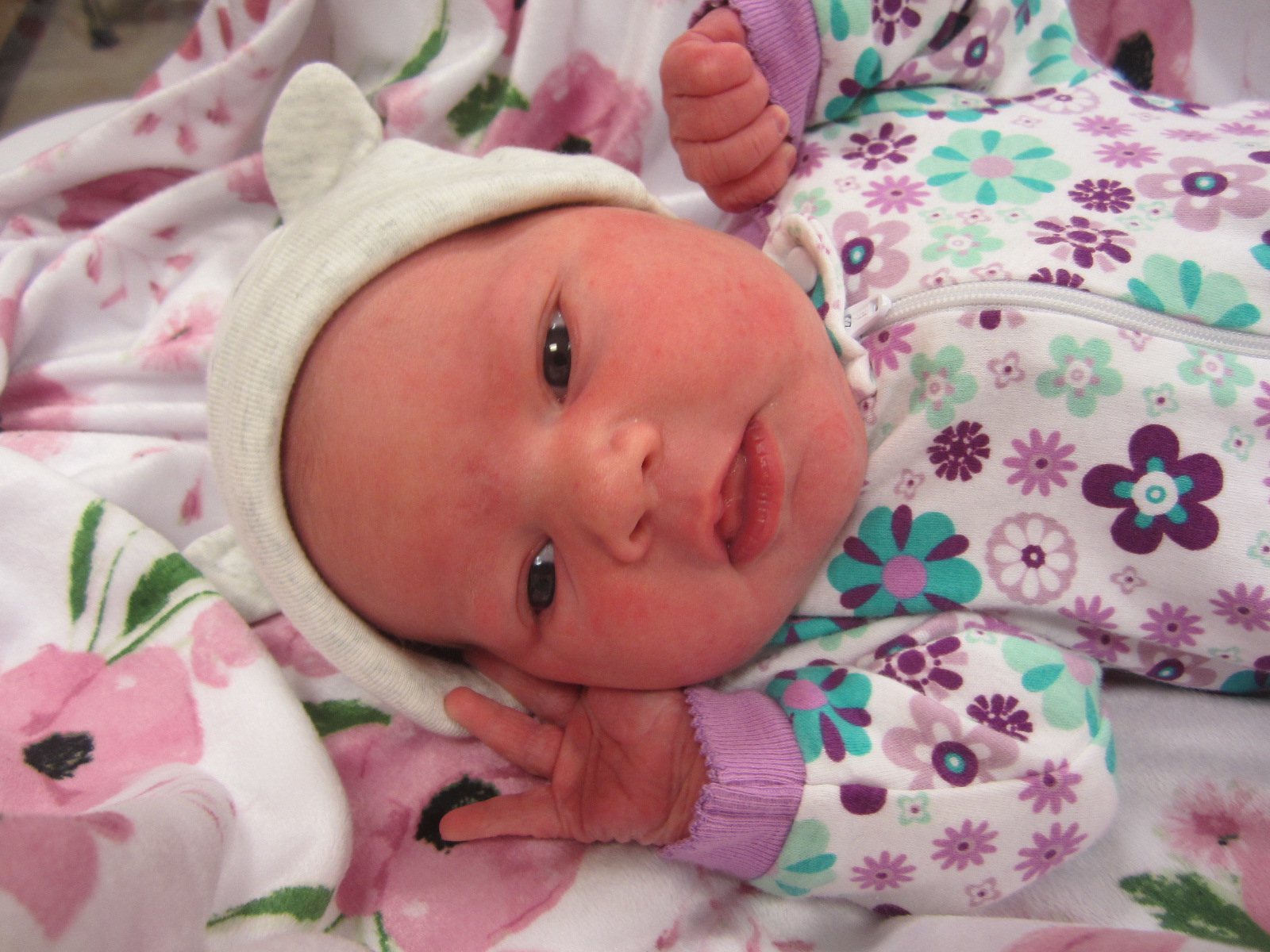 Daphne Agnes