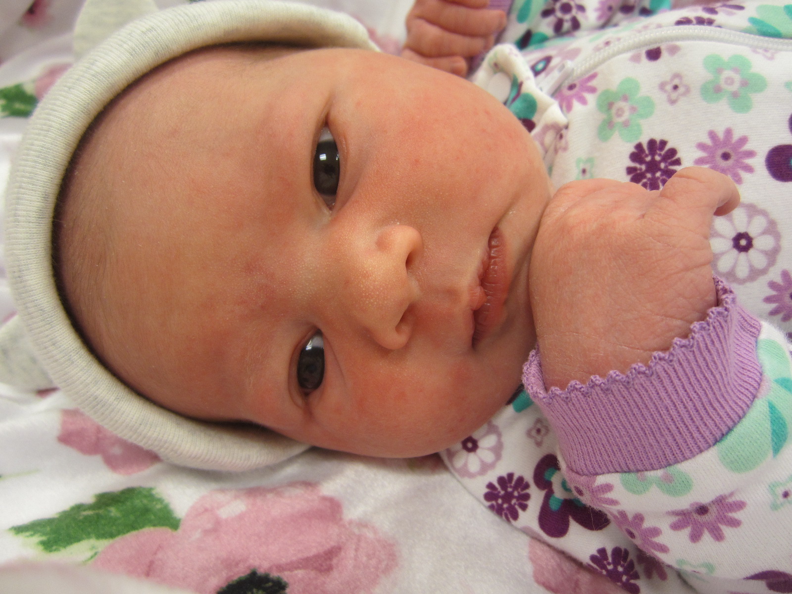 Daphne Agnes