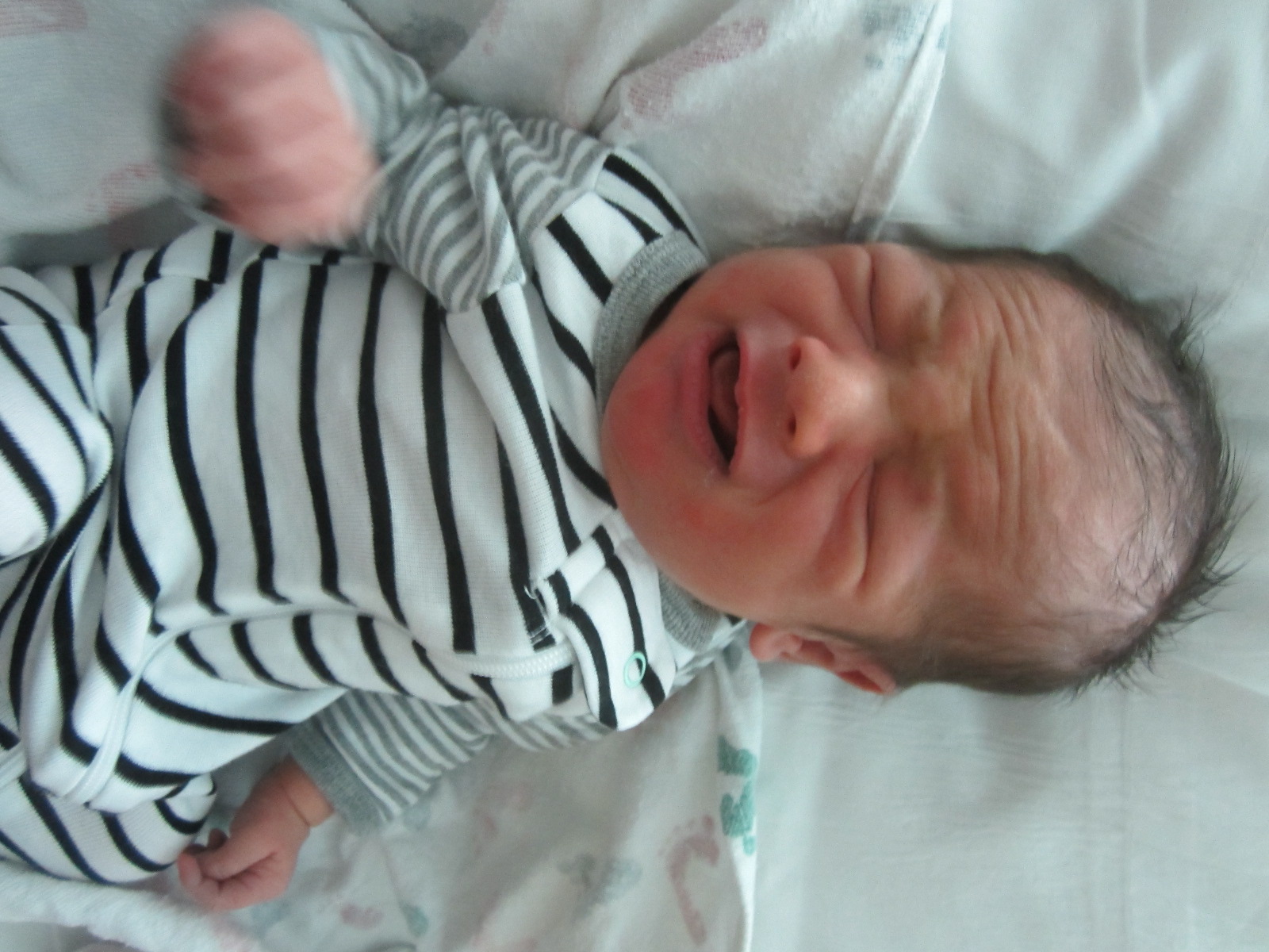Andrew Isaac,Jr
