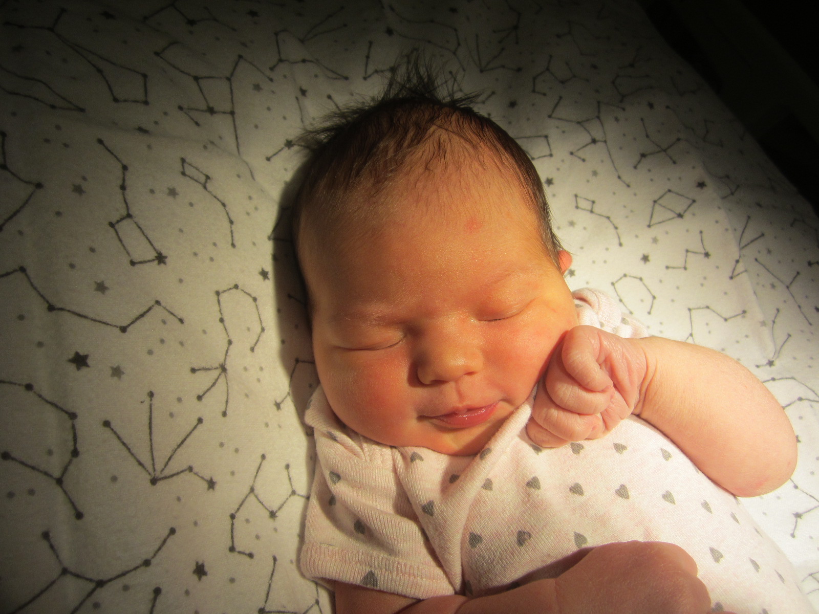Lucy June
