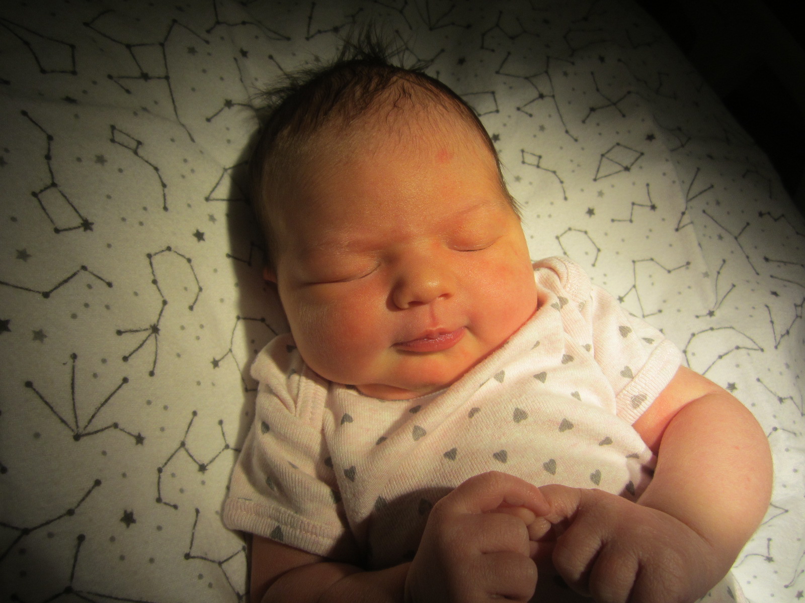 Lucy June