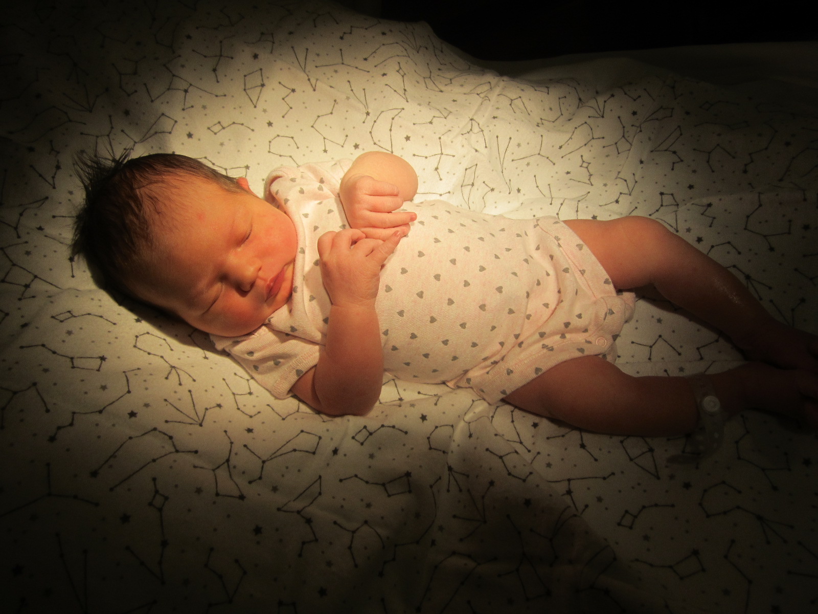 Lucy June