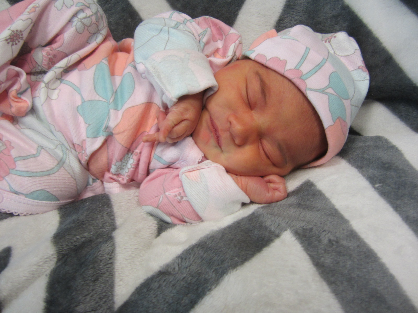 Everleigh Robin