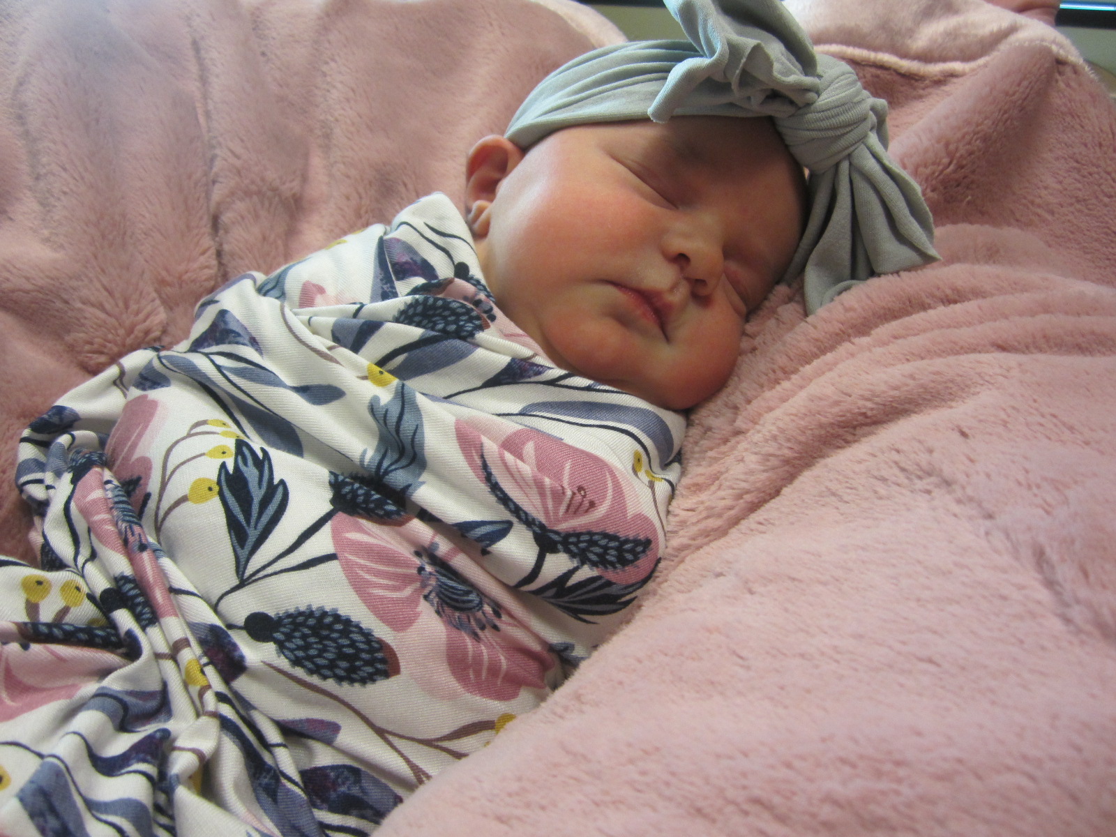 Baylor Layne