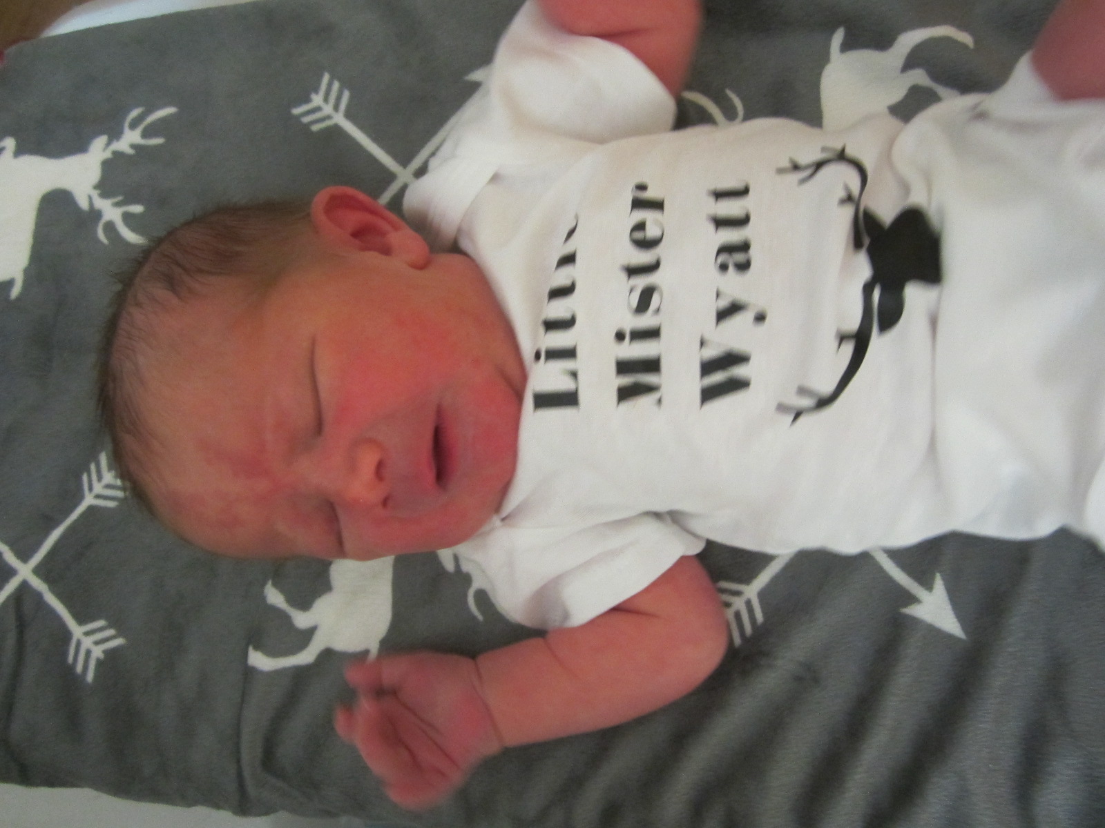 Wyatt Alfred