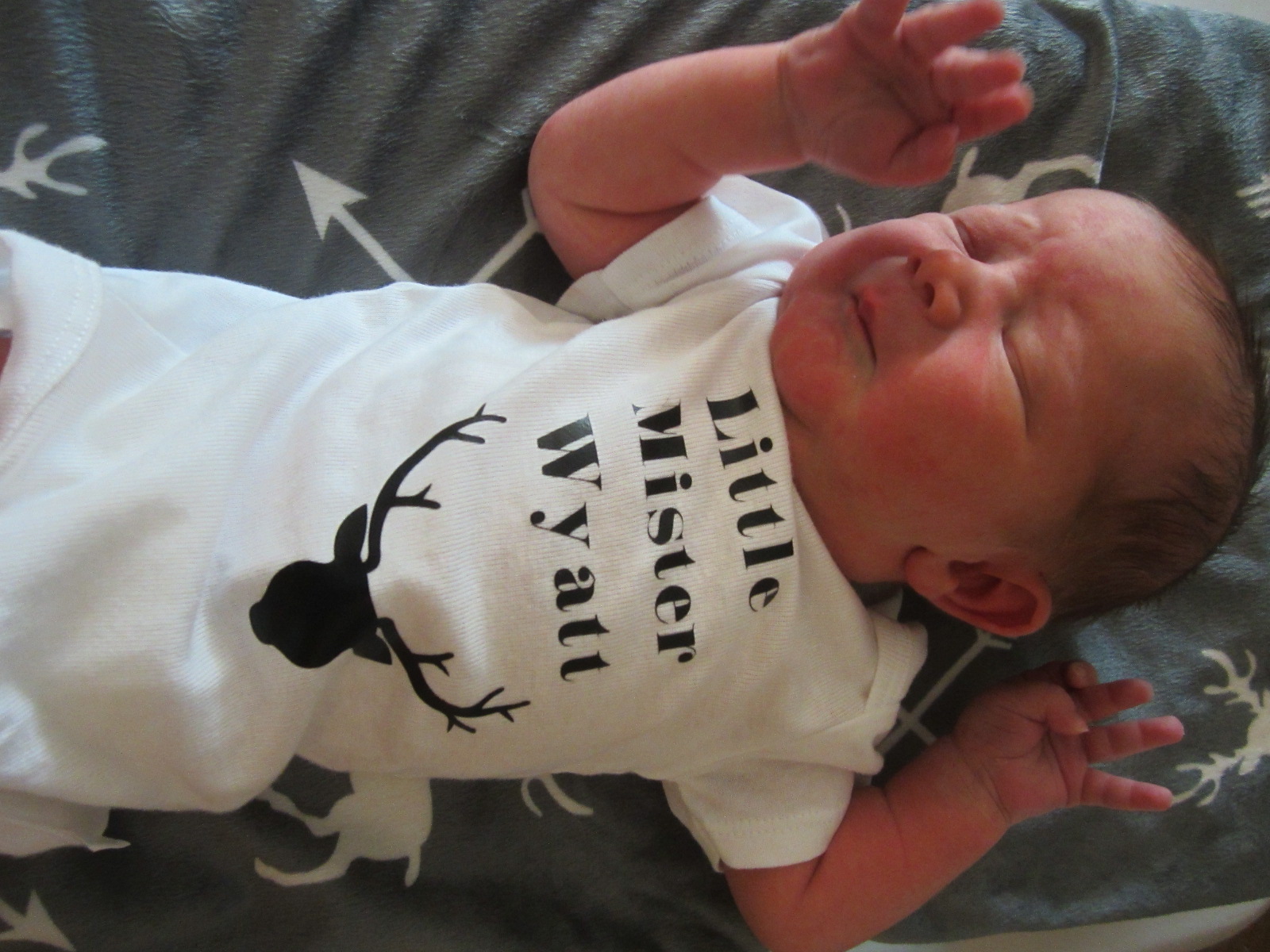 Wyatt Alfred