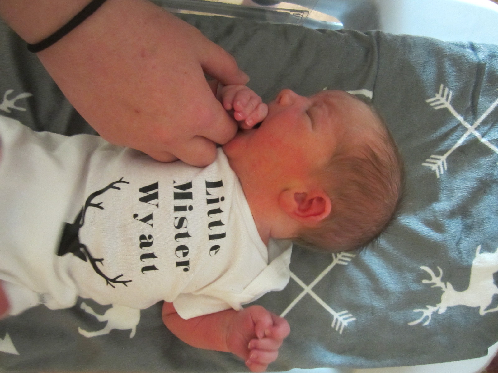 Wyatt Alfred