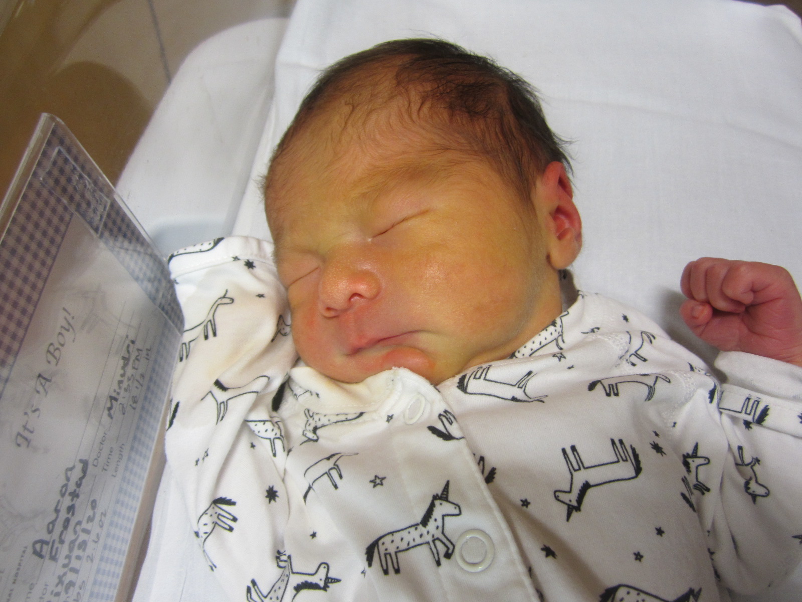 Aaron Tianyi